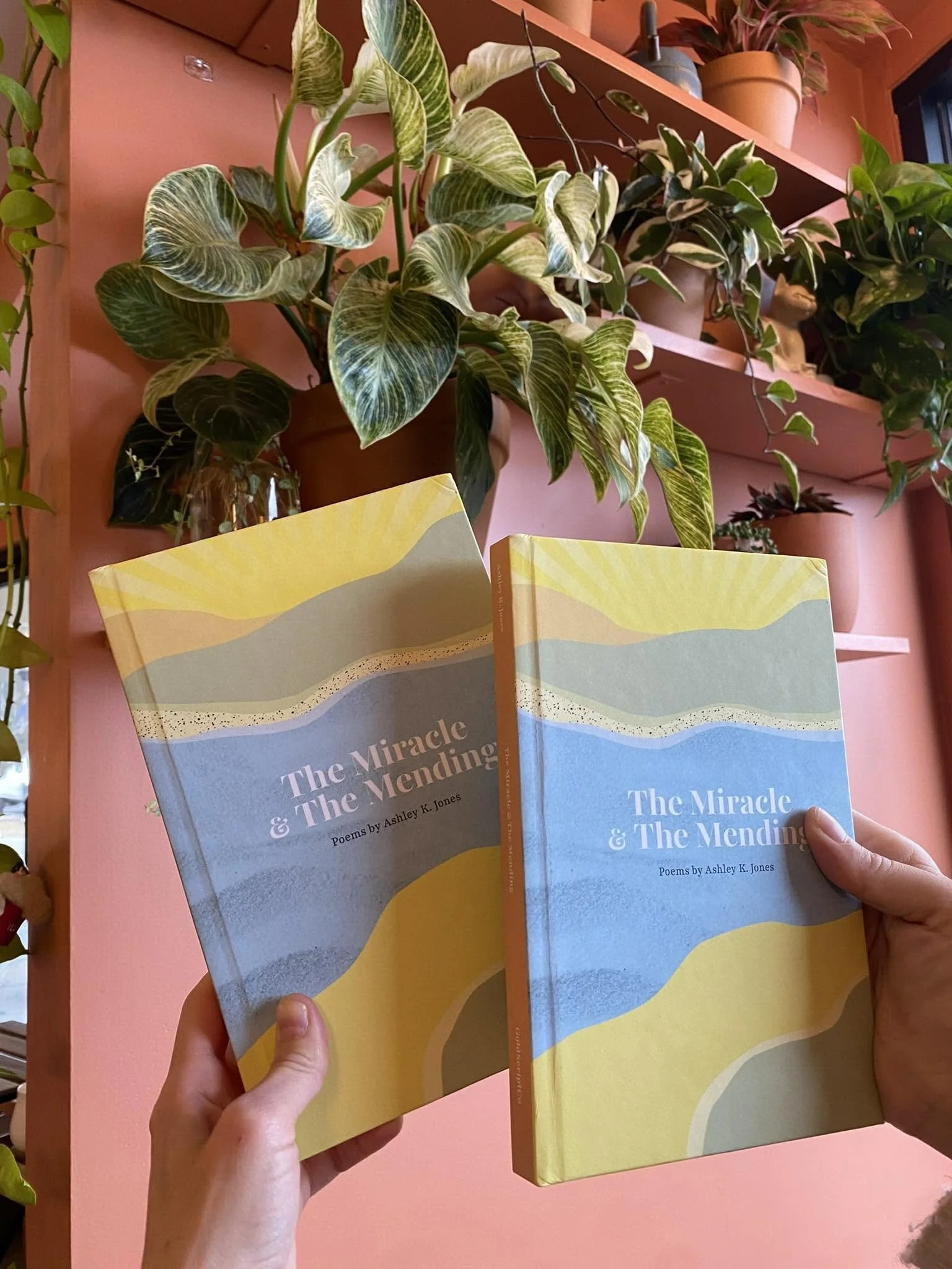Person holding a book titled 'The Miracle & The Mending' in front of a pink wall with shelves filled with plants.