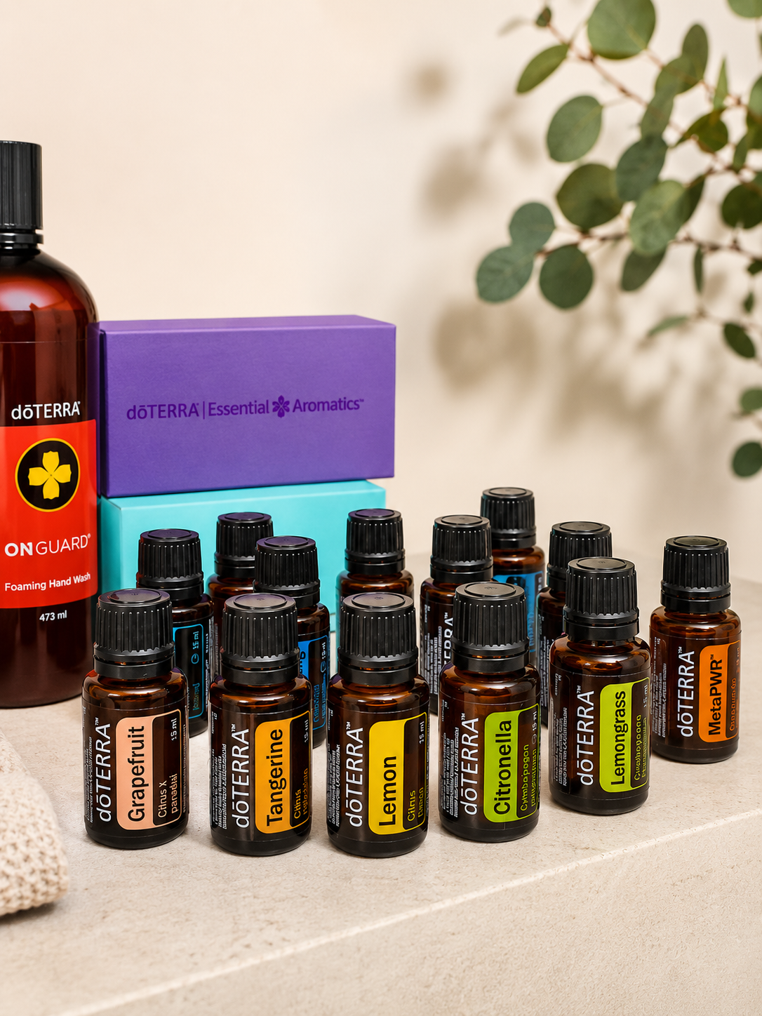 Mehrere ätherische Ölbläschen von doTERRA mit Titeln wie Grapefruit, Tangerine, Lemon, Citronella, Lemongrass und Metapwr, sowie eine Flasche Händedesinfektionsmittel auf einer beige Oberfläche neben einer grünen Pflanze.