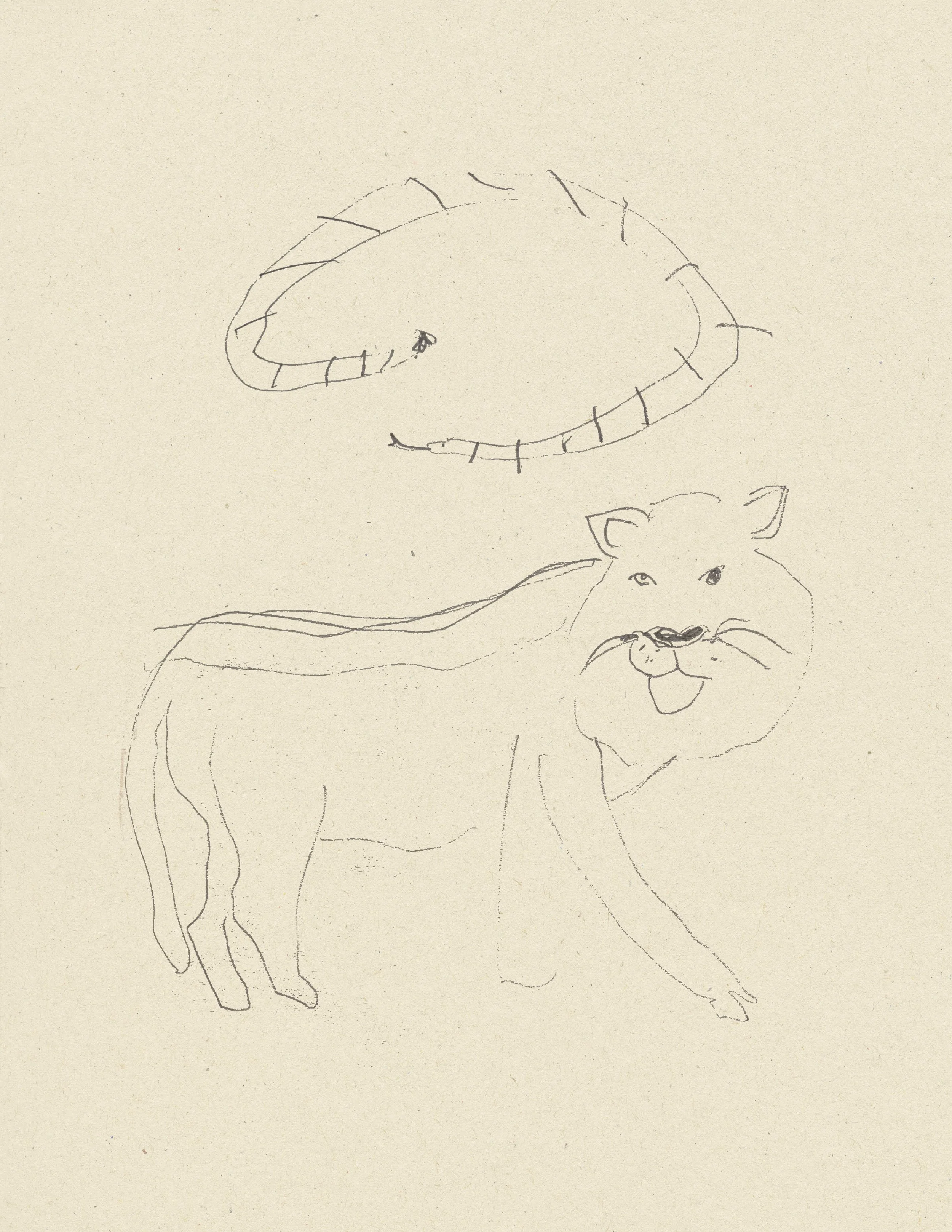 lionandsnake.jpg