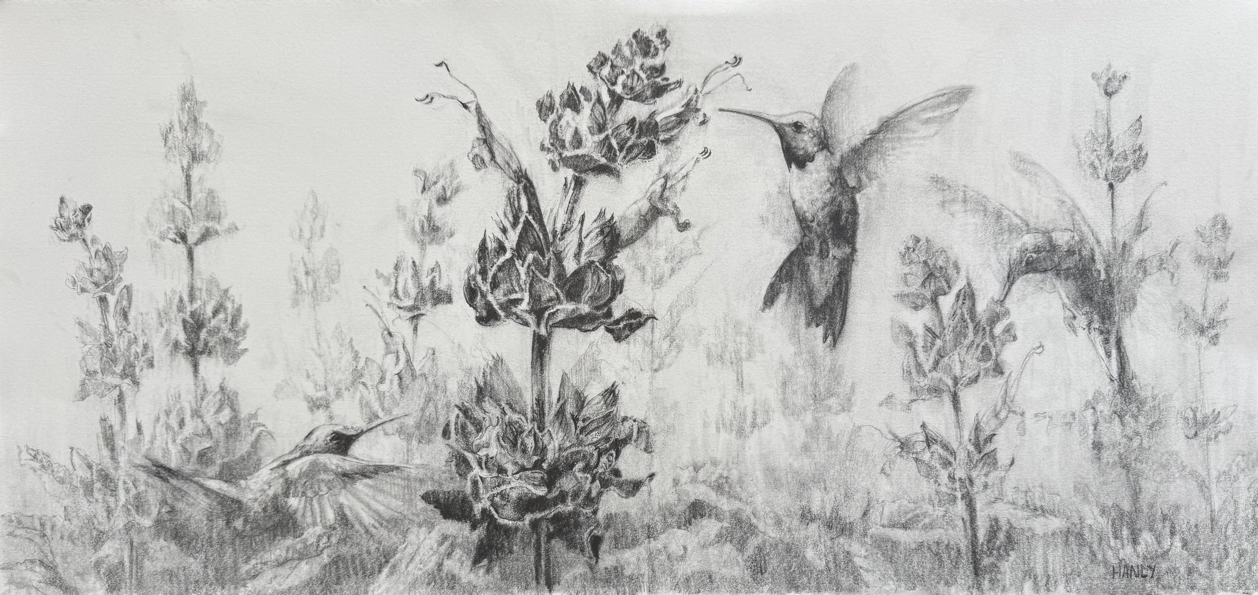 Hummingbird Sage 8 x 16 SOLD