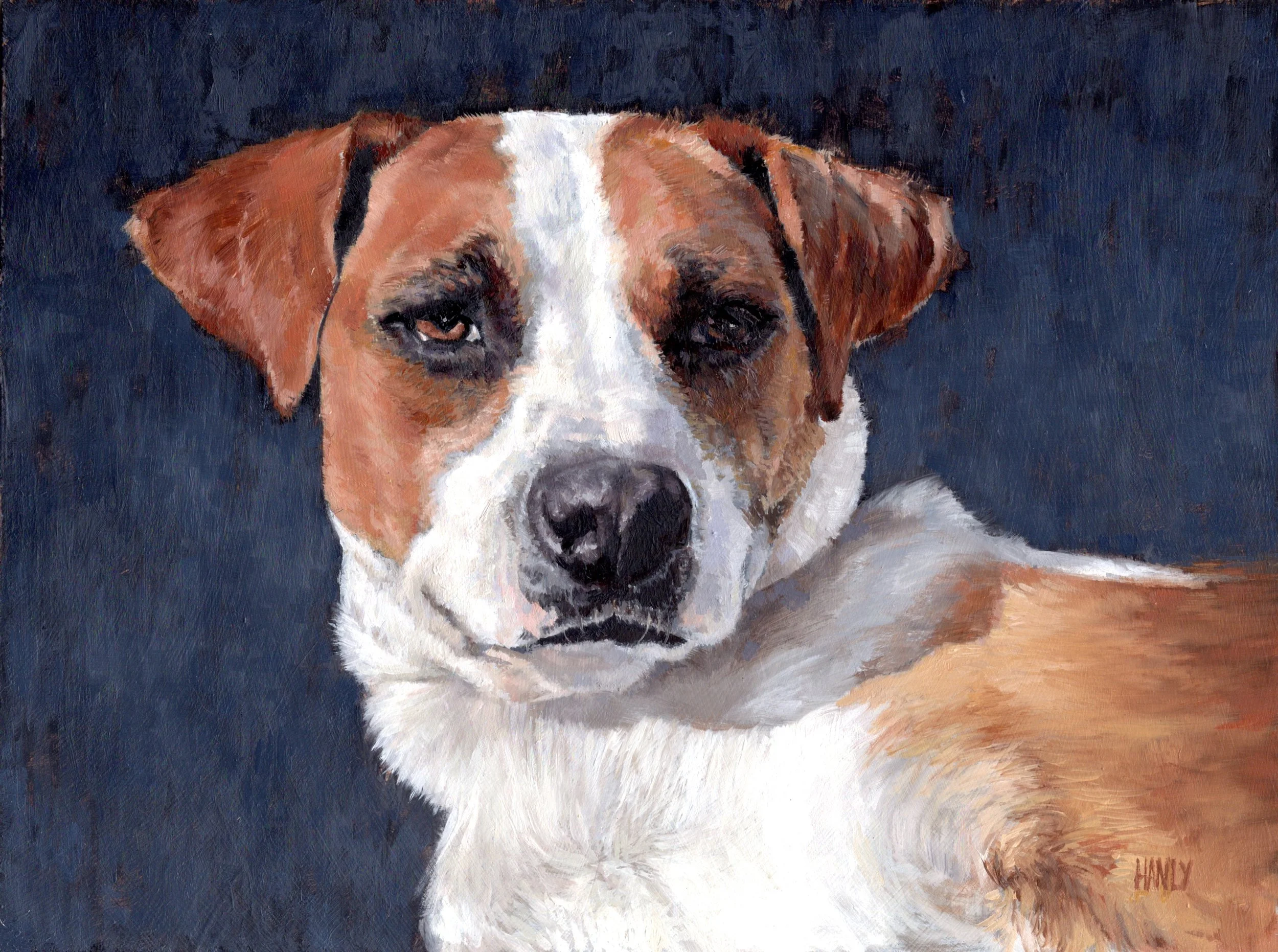 Ollie 9 x 12 Commission