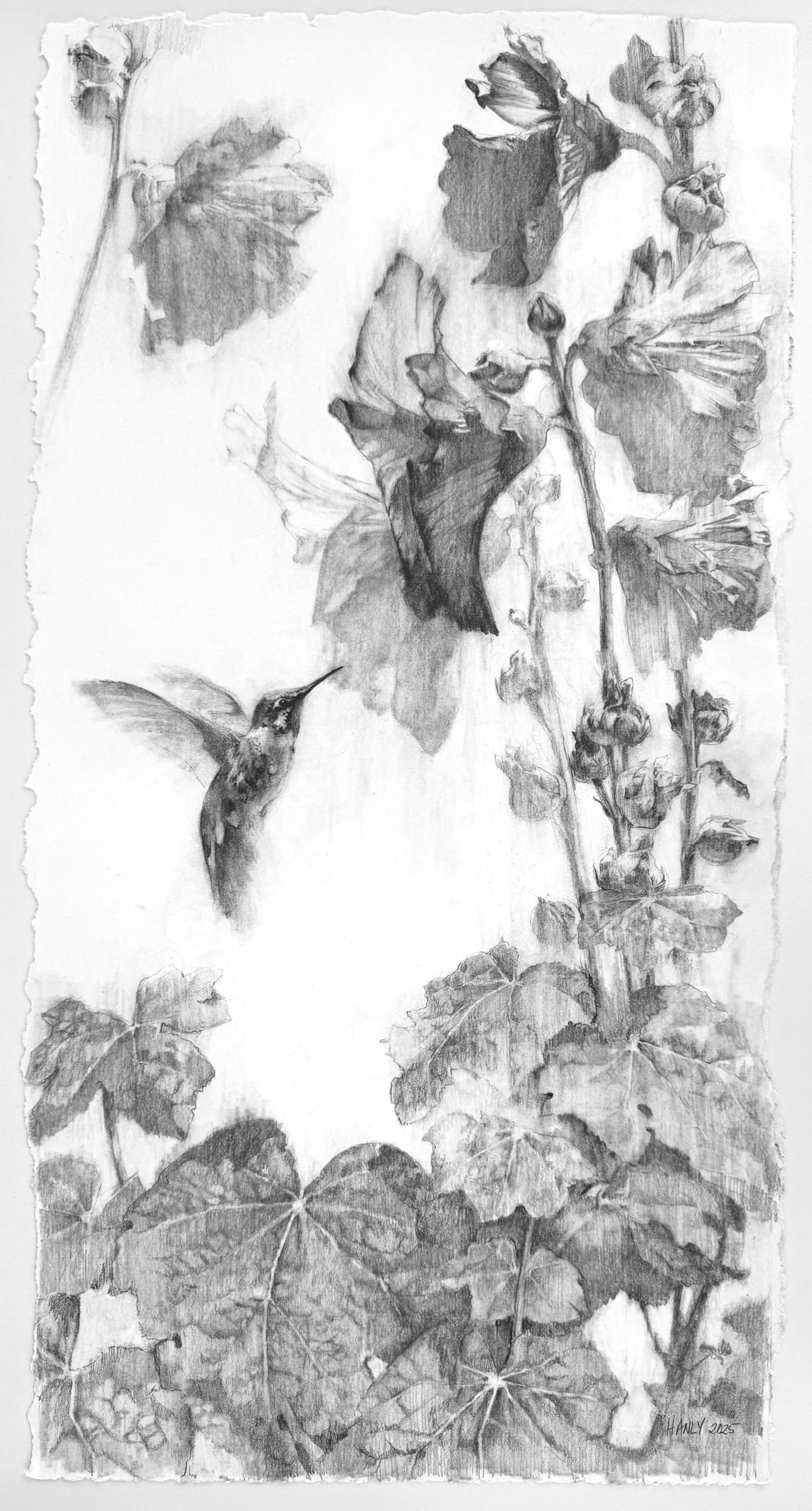 In the Hollyhocks 16 x 30 SOLD