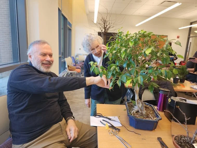 An elderly woman and a man enjoy a bonsai tree together in a room with large windows and tables, some with tools and plants, in an indoor setting.
