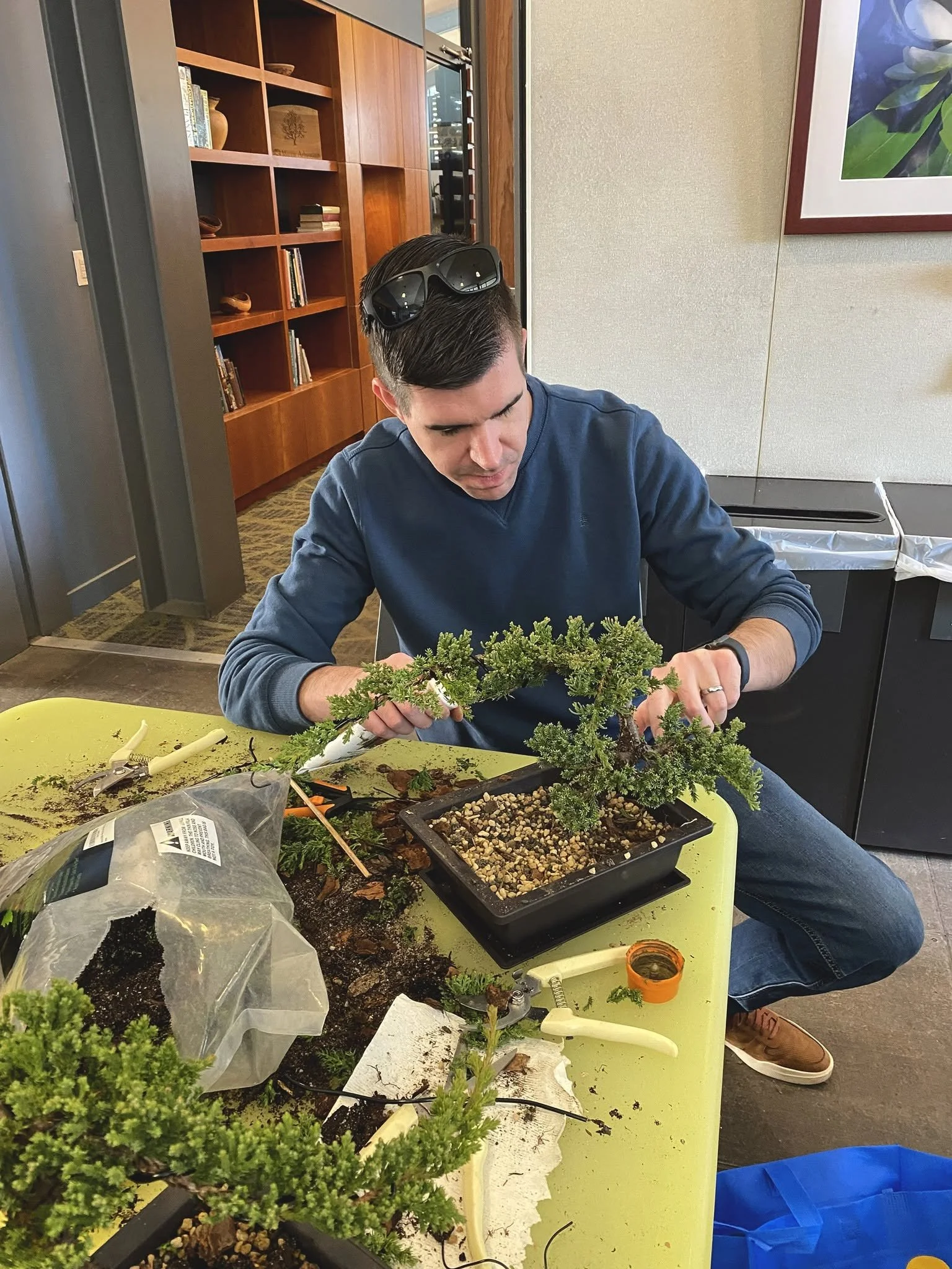 A man with dark hair wearing a dark blue shirt and sunglasses on his head is working on a small bonsai tree at a table. The table has various gardening tools, soil, and plant components. Behind him, there are wooden bookshelves with books and decorat