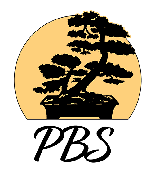 PBSfavicon.png