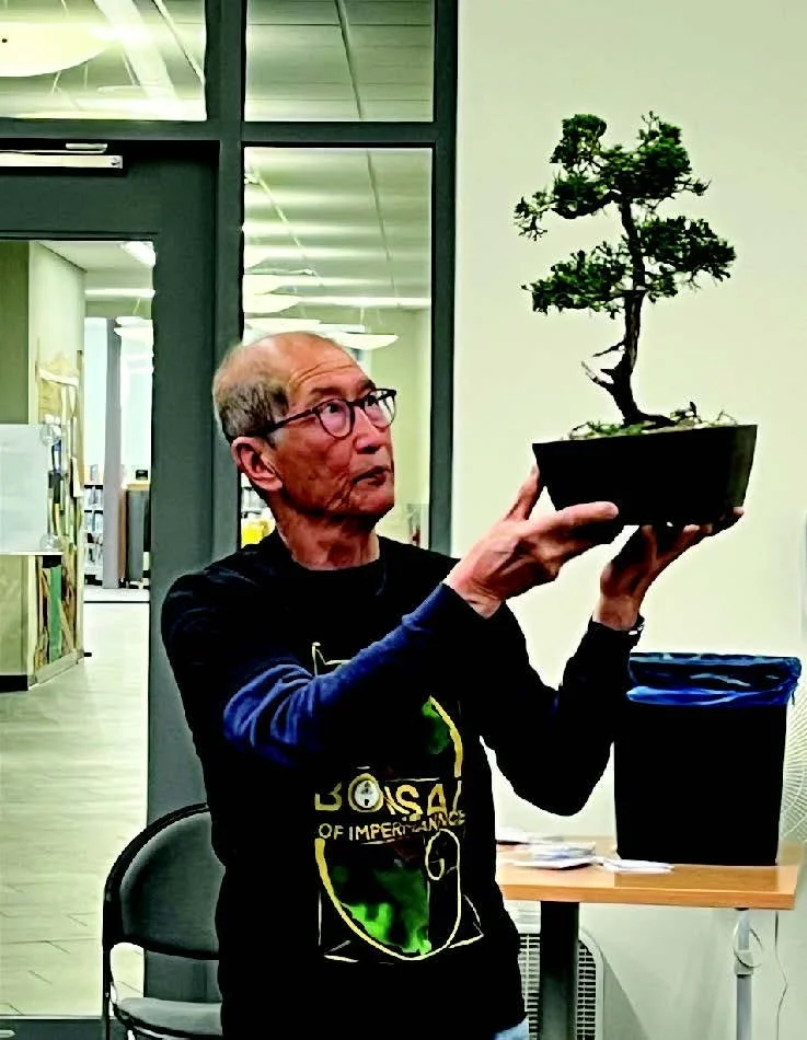 Older man with glasses holding a bonsai tree in a pot, indoors near a window.