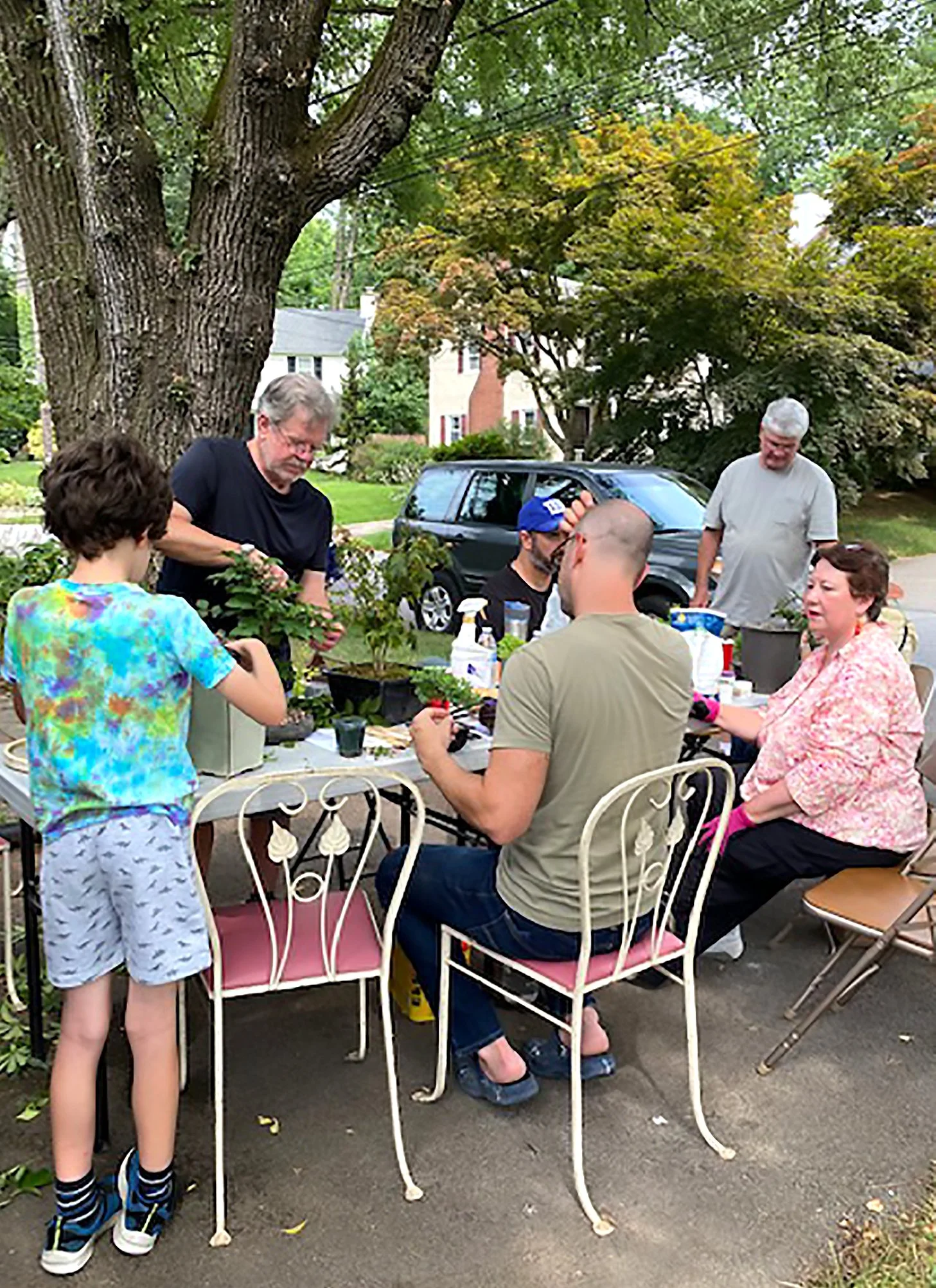 A group of six people gathered around a table outdoors, under a large tree, working on their Bonsai trees with buddies, on a sunny day in a suburban neighborhood with houses in the background.