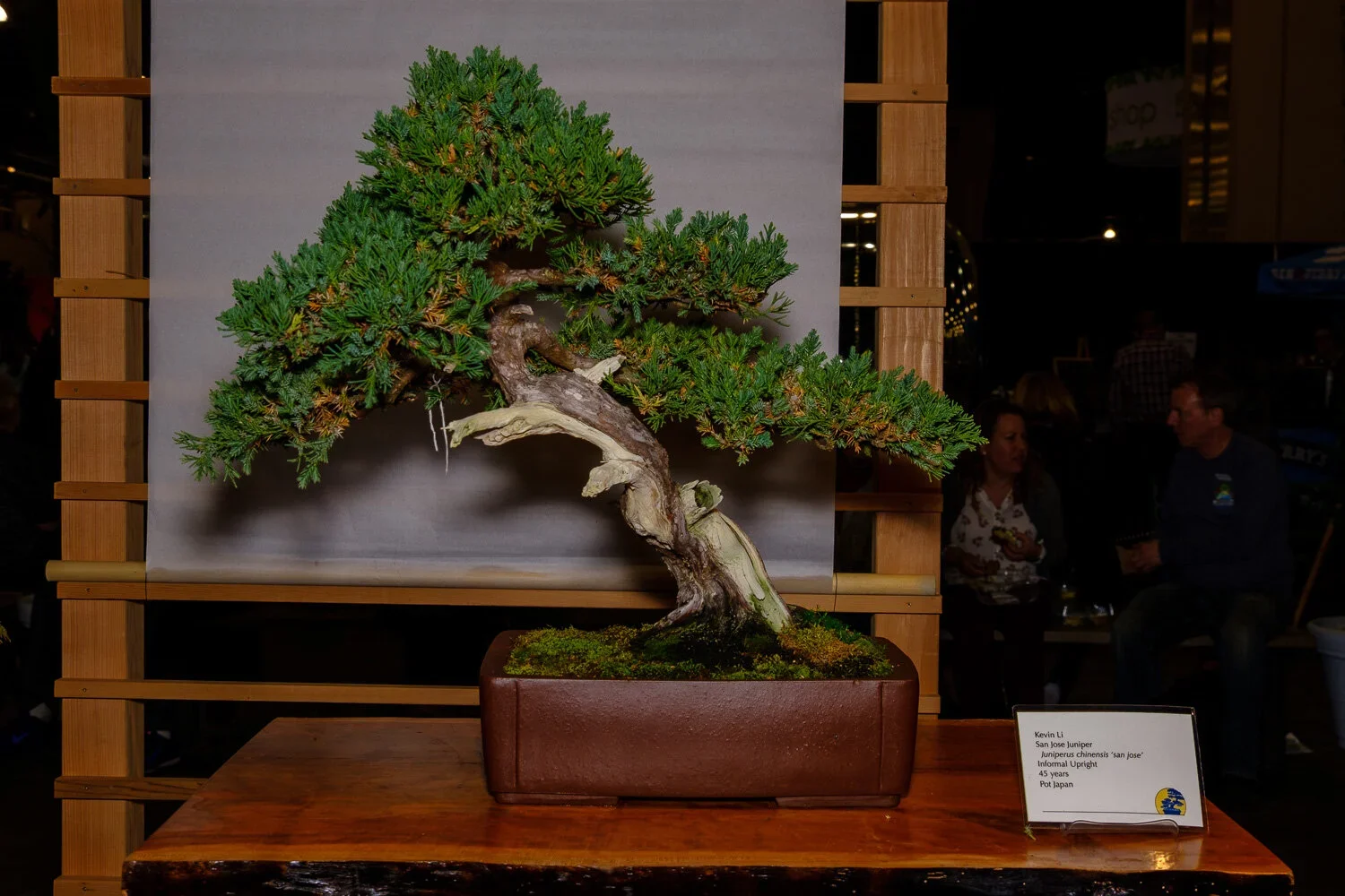 A bonsai tree in a rectangular pot displayed on a wooden table, with a sign indicating it's a 45-year-old San Jose Juniper bonsai. Background shows people in a dimly lit indoor setting.