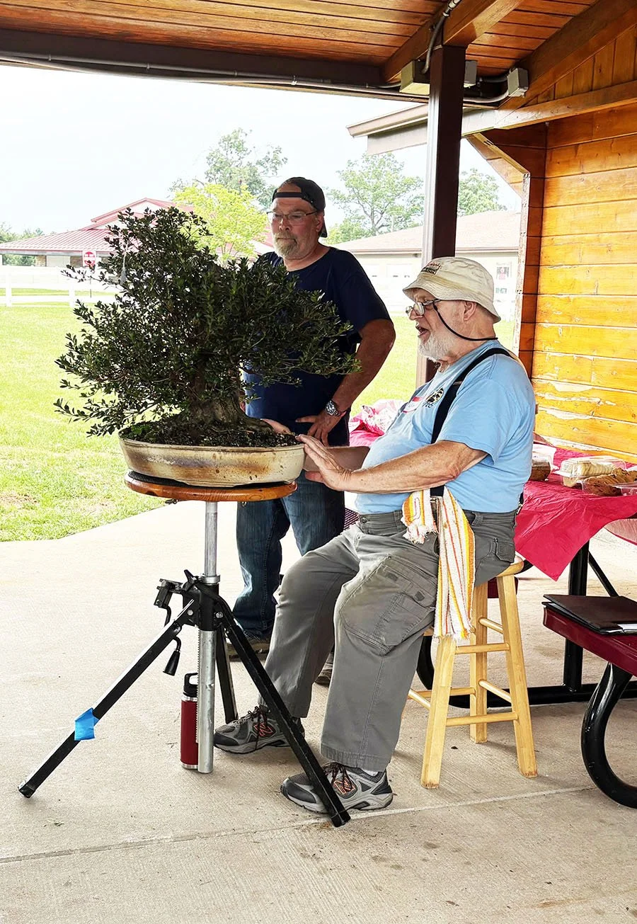 Two older men examining a bonsai tree during an outdoor event on a porch, with a kids' table and grassy yard in the background.
