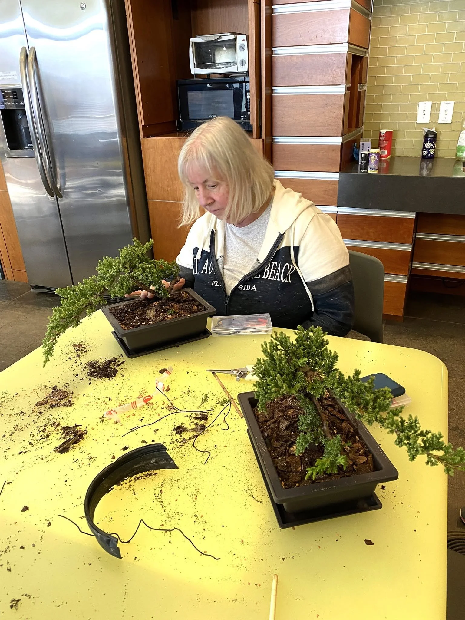 Woman sitting at a table with potted plants, soil, and gardening tools, working on plant care or repotting in a kitchen or dining area.