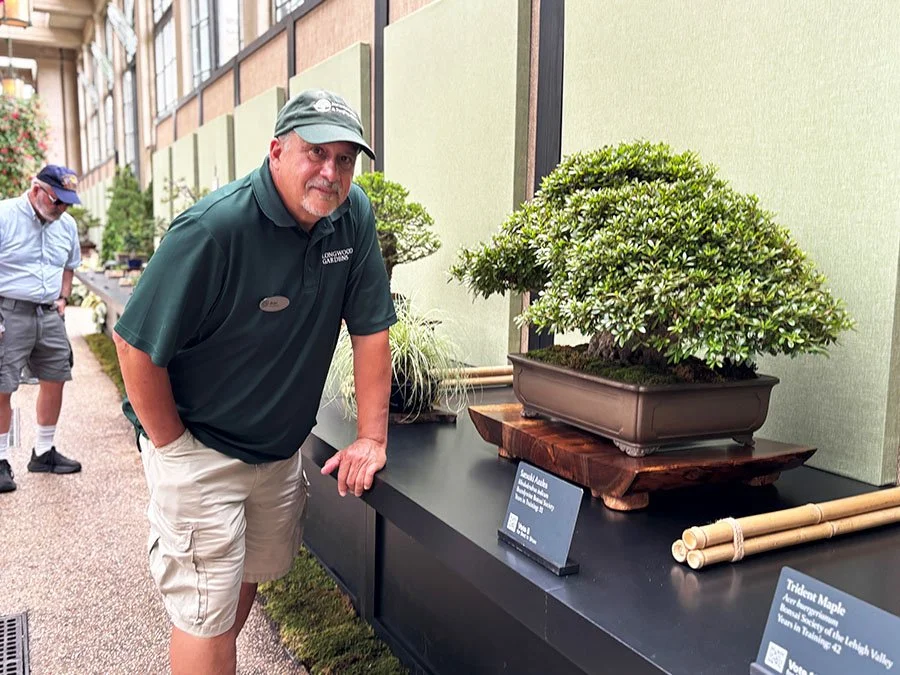 A man with a beard wearing a dark green polo shirt and beige shorts leaning on a display table with a bonsai tree in a ceramic pot at an indoor plant exhibition. Another man is in the background.