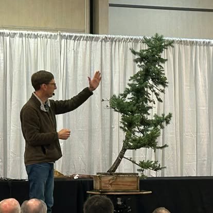 Man presenting next to a bonsai tree on a stage with white curtains.