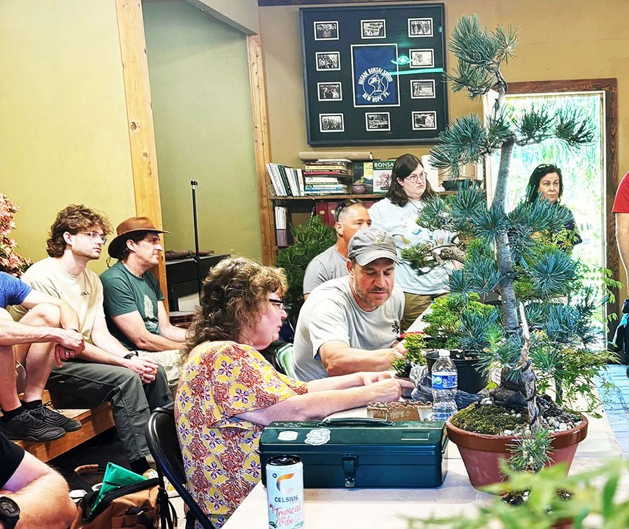Group of people gathered around a large potted bonsai tree indoors during a workshop or class.