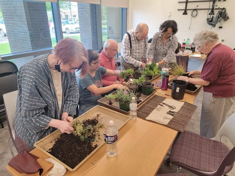 A group of elderly people planting flowers and plants in trays on a table inside a room with large windows.