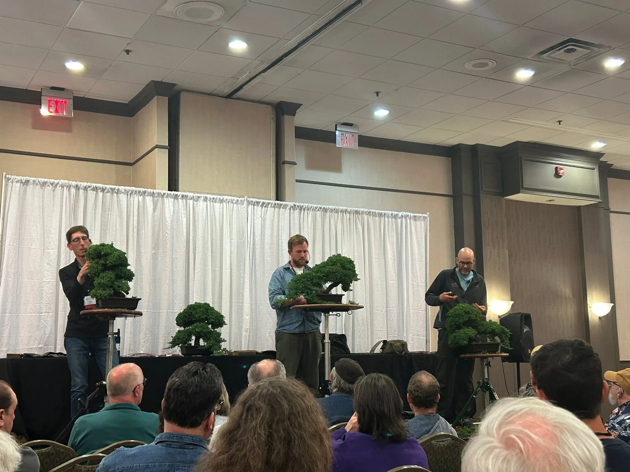 People participating in a bonsai tree demonstration at a conference or event, with an audience in the foreground.