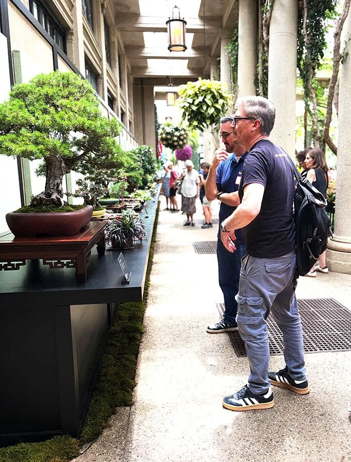 People viewing bonsai trees and potted plants on display at an indoor or semi-indoor botanical exhibit or garden.