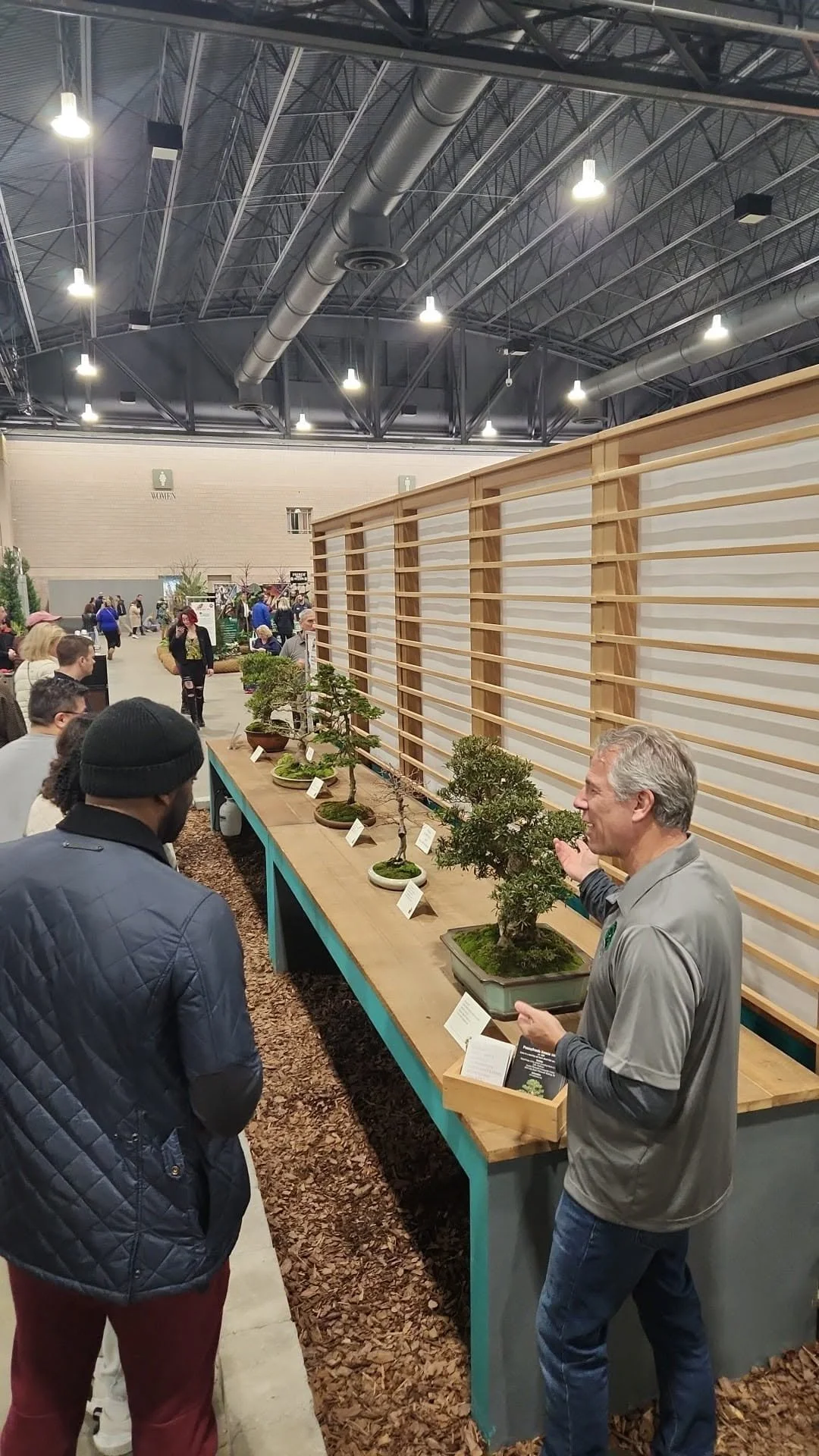 People viewing a display of bonsai trees at an indoor event.