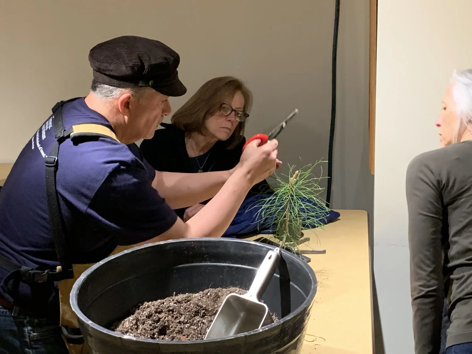Three people sitting at a table with a potted plant and gardening tools; one person is using a small pruning shear, another is observing, and a third is partially visible on the right.