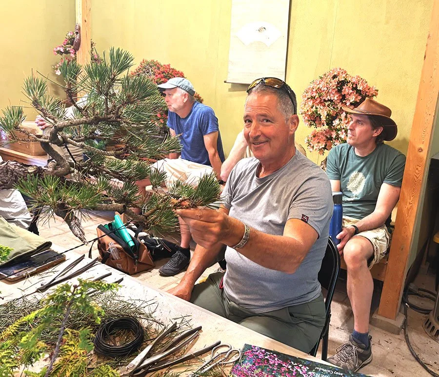 A man in a gray t-shirt showing a bonsai tree on a table during a workshop with three others in a room. Satski Azaleas in the background.