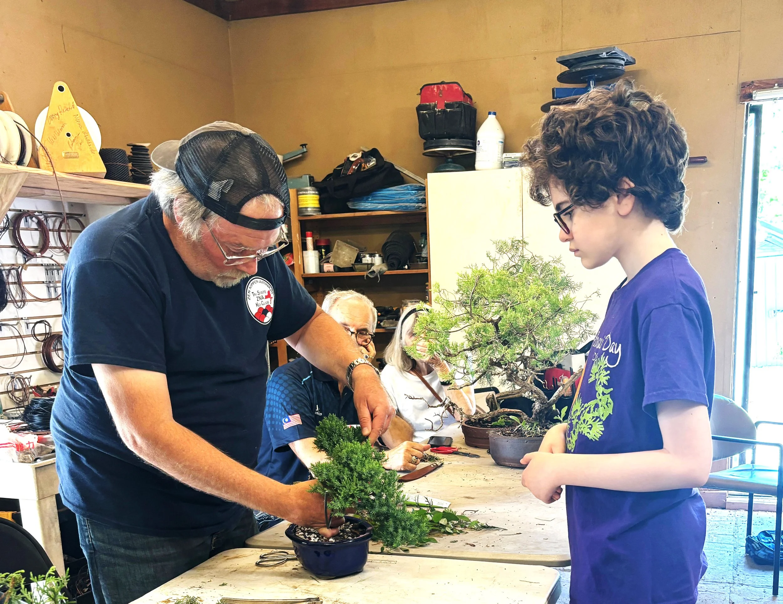 A group of people working on bonsai trees at a workshop in a woodworking shop with yellow walls, shelves, and tools in the background.