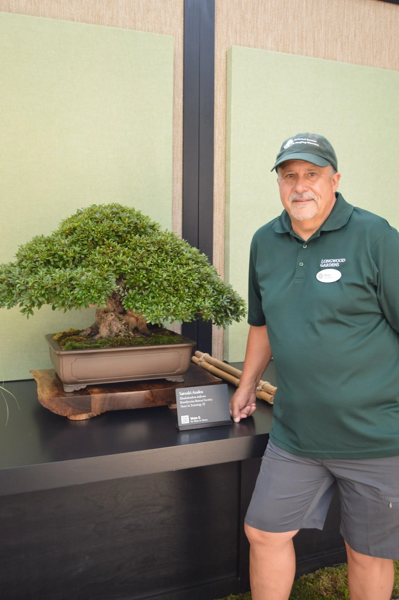 A man in a green polo shirt and gray shorts stands next to a bonsai tree on display at a garden show. He is wearing a baseball cap.