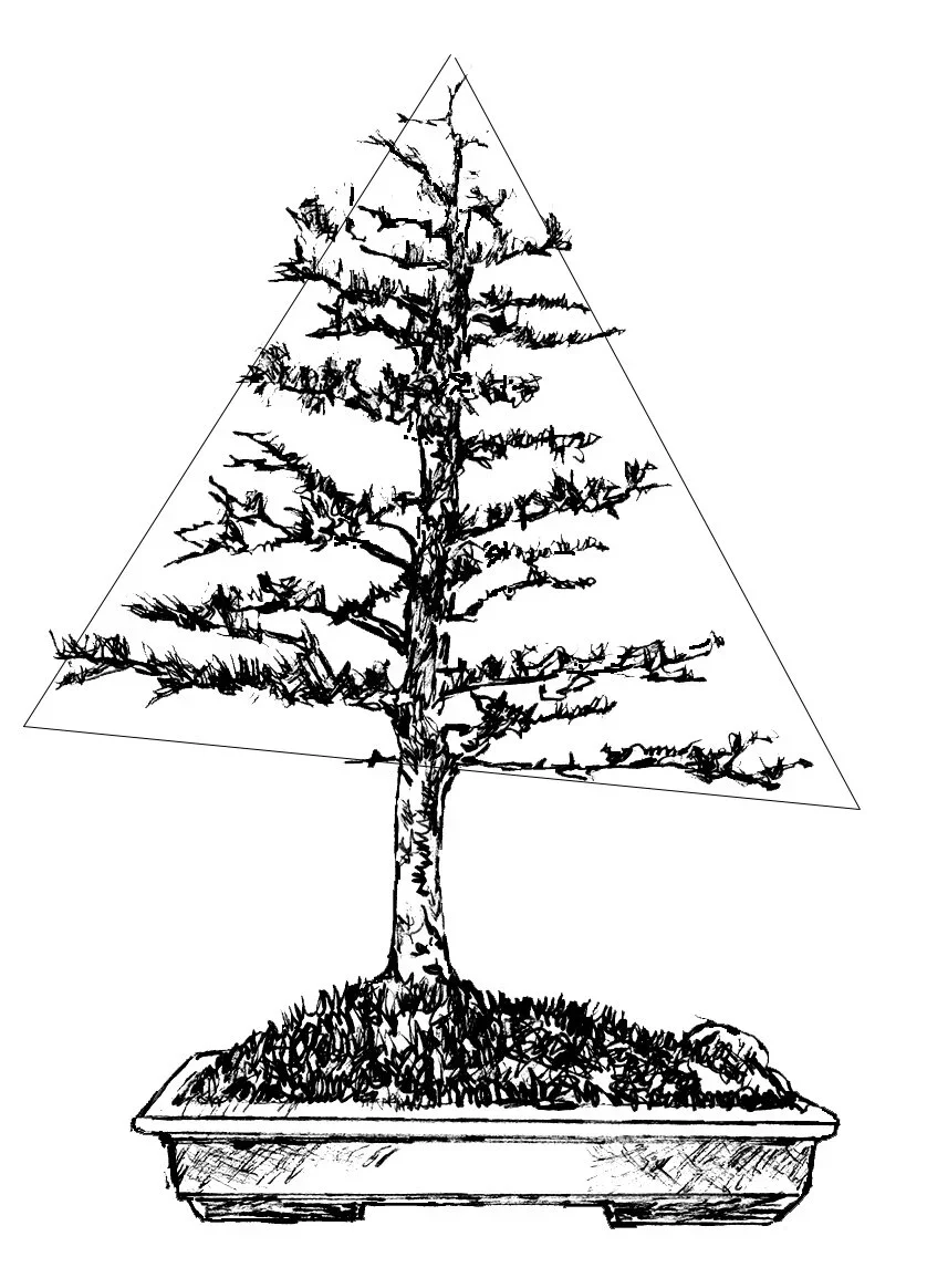 Drawing of a bonsai tree in a rectangular pot with geometric grid lines in the background.