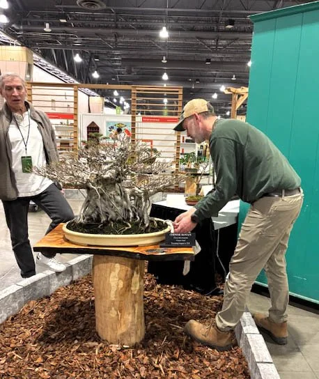 A man in a green shirt and beige pants is working on a bonsai tree at an exhibition booth. Another man in a gray jacket is observing nearby. The bonsai is large with a thick trunk, placed on a wooden stand surrounded by wood chips, in a modern indoor