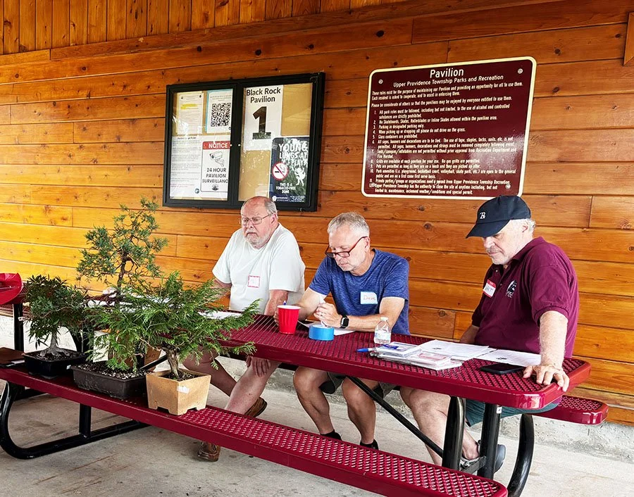 Three men sit at a red picnic table in front of a wooden wall, with potted bonsai trees and documents, under a Pavilion.