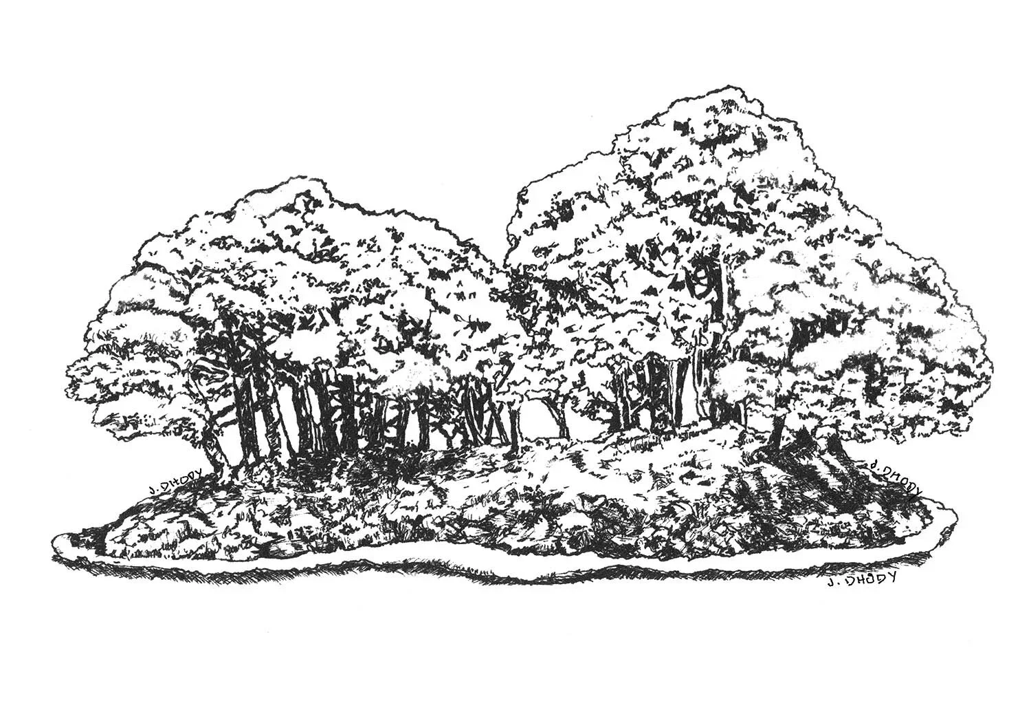 Black and white illustration of a Bonsai forest on a small hill with textured ground and a simple outline.