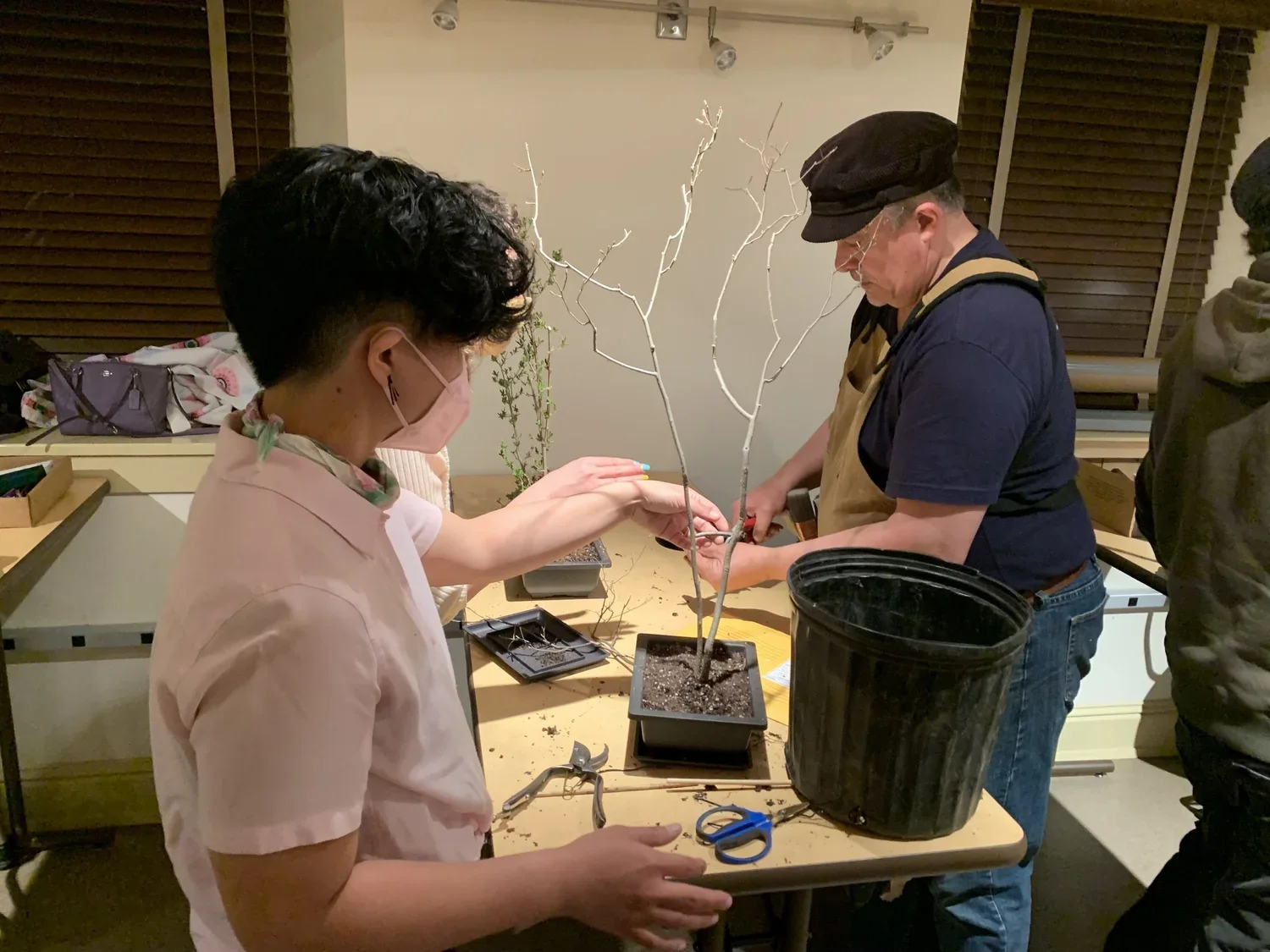People working together to plant a small tree in a pot, using gardening tools inside a room.