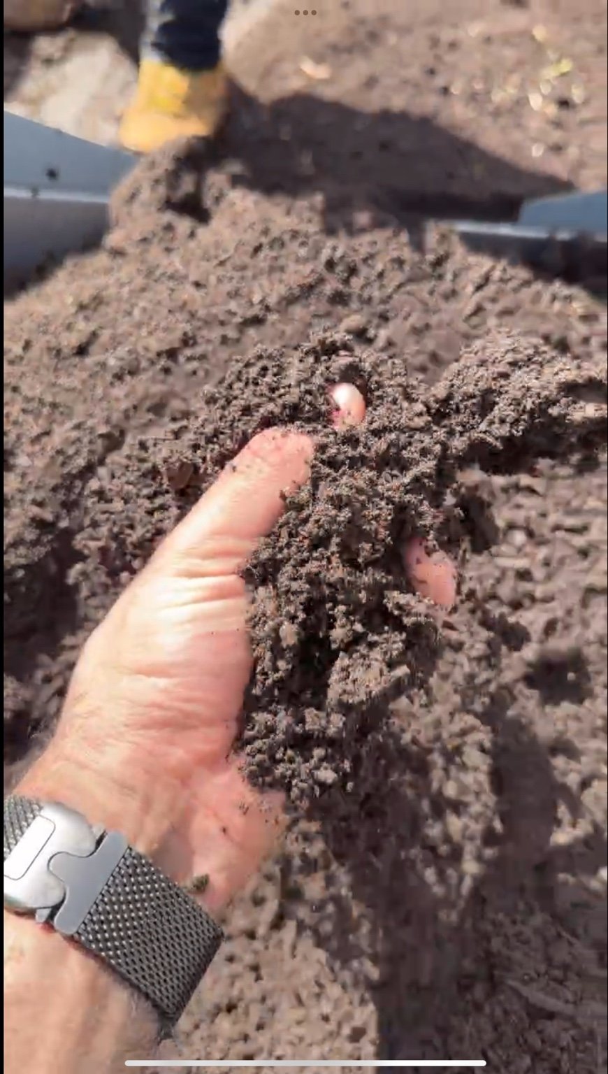 Compost for soil improvement