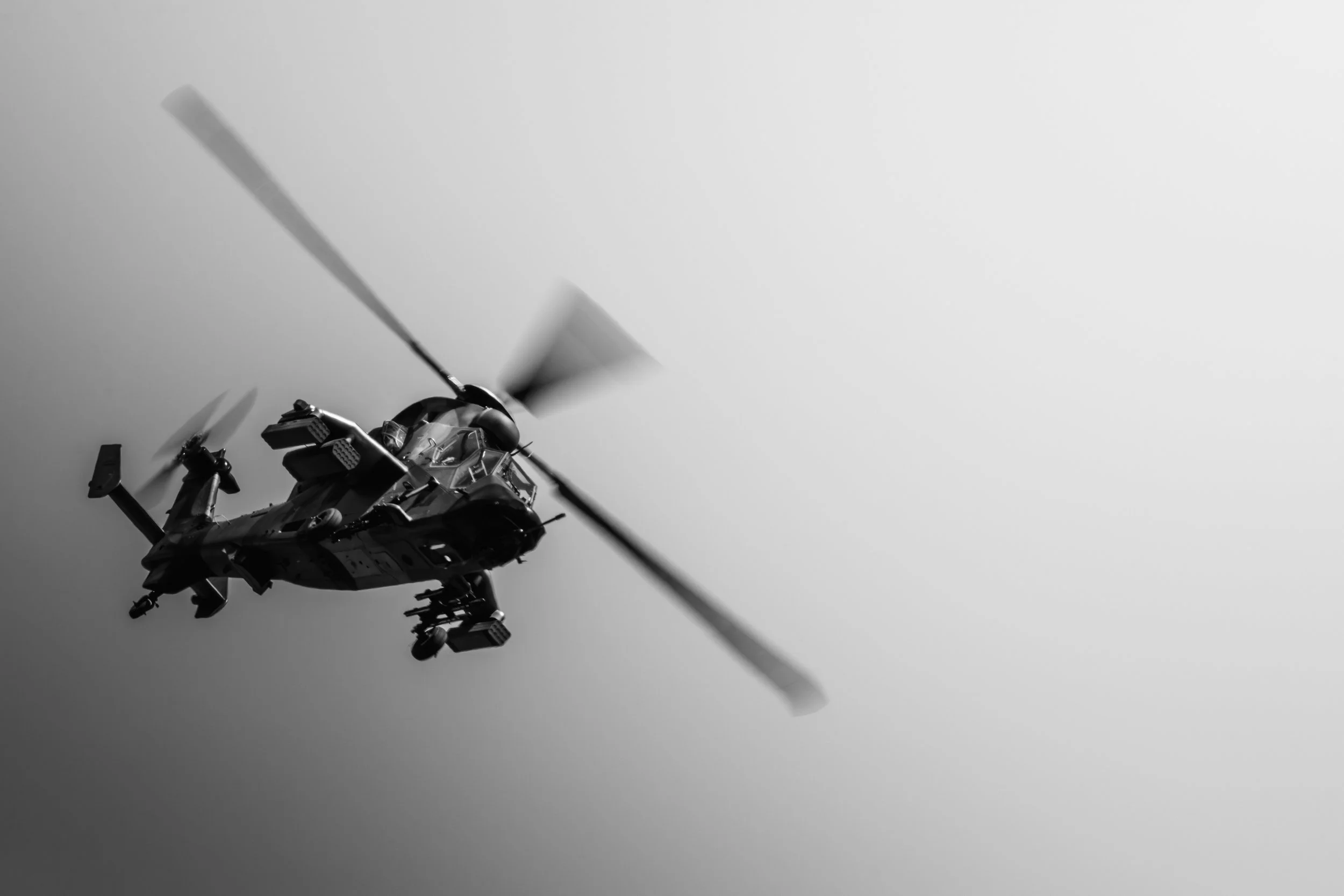 31052025-3C3A9556-Avec accentuation-Bruit.jpg