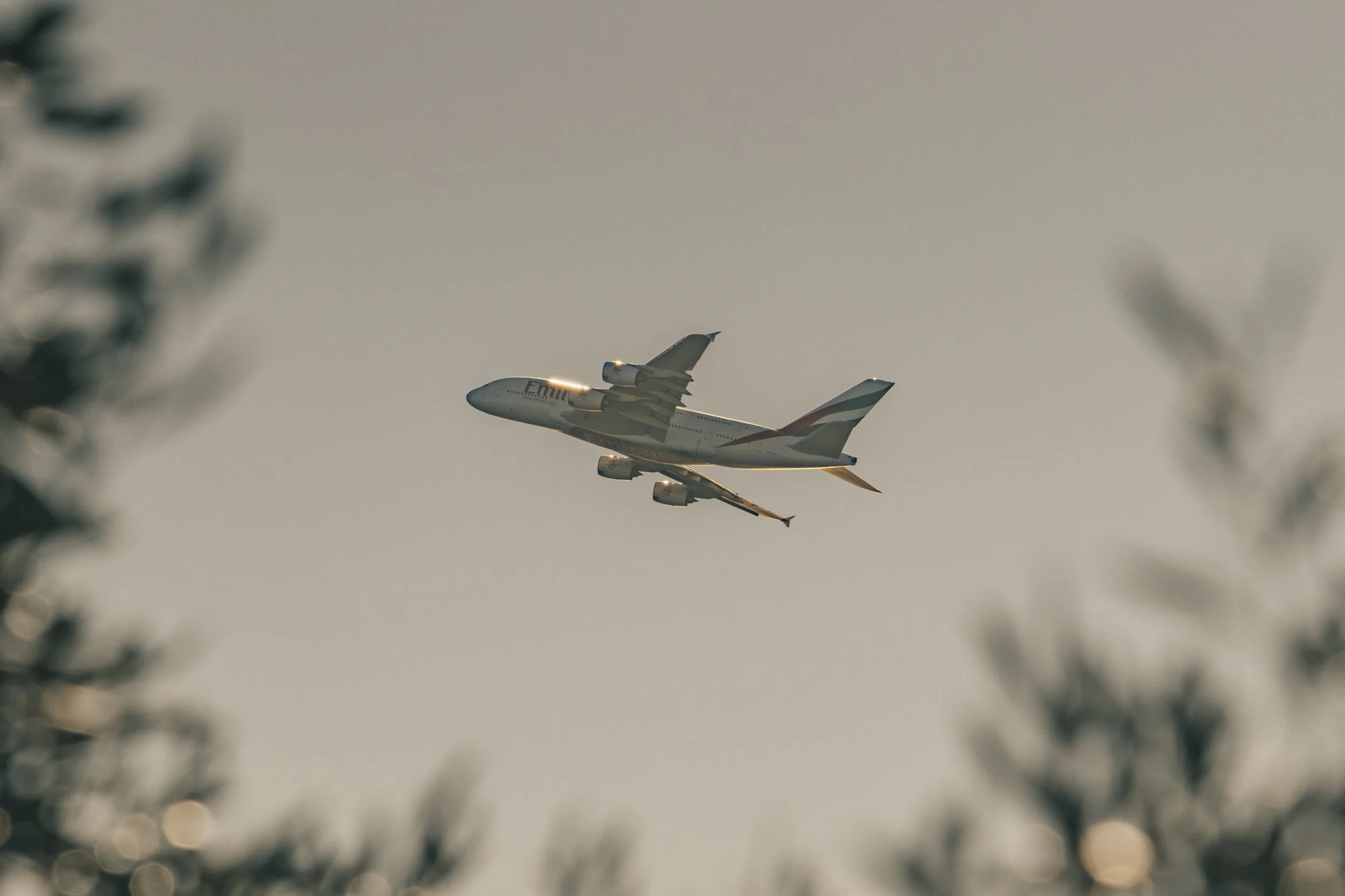 3C3A9506.jpg