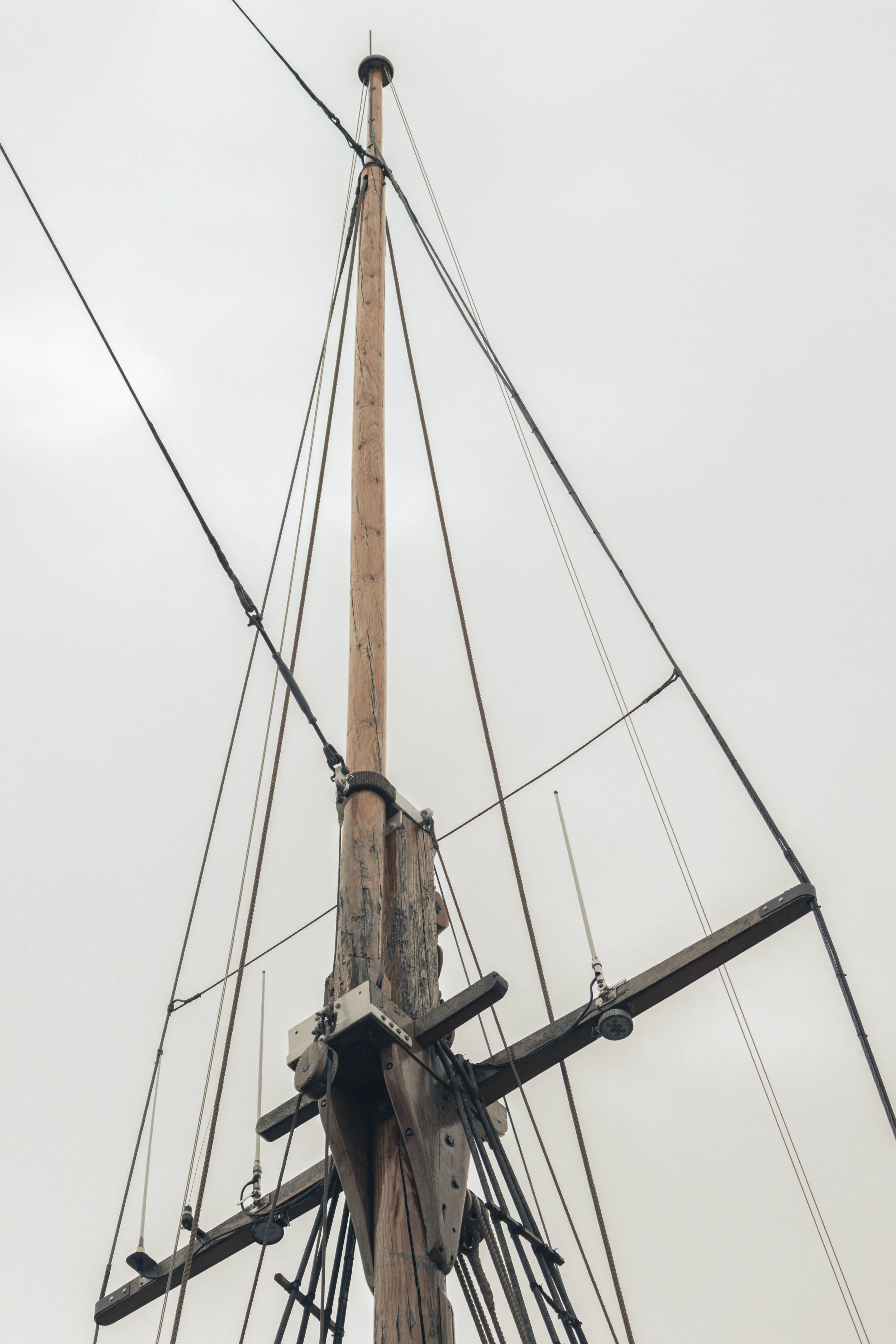 3C3A0763.jpg