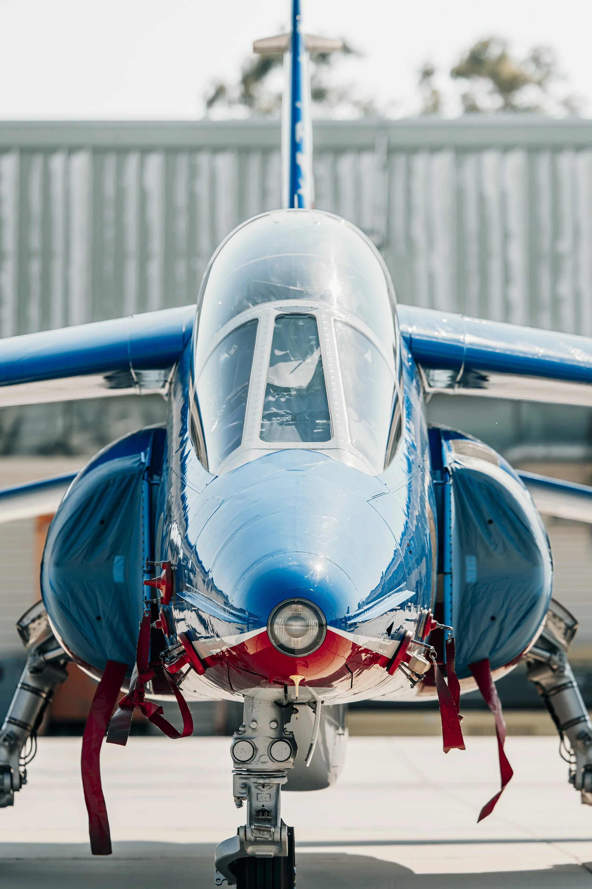3C3A6144.jpg