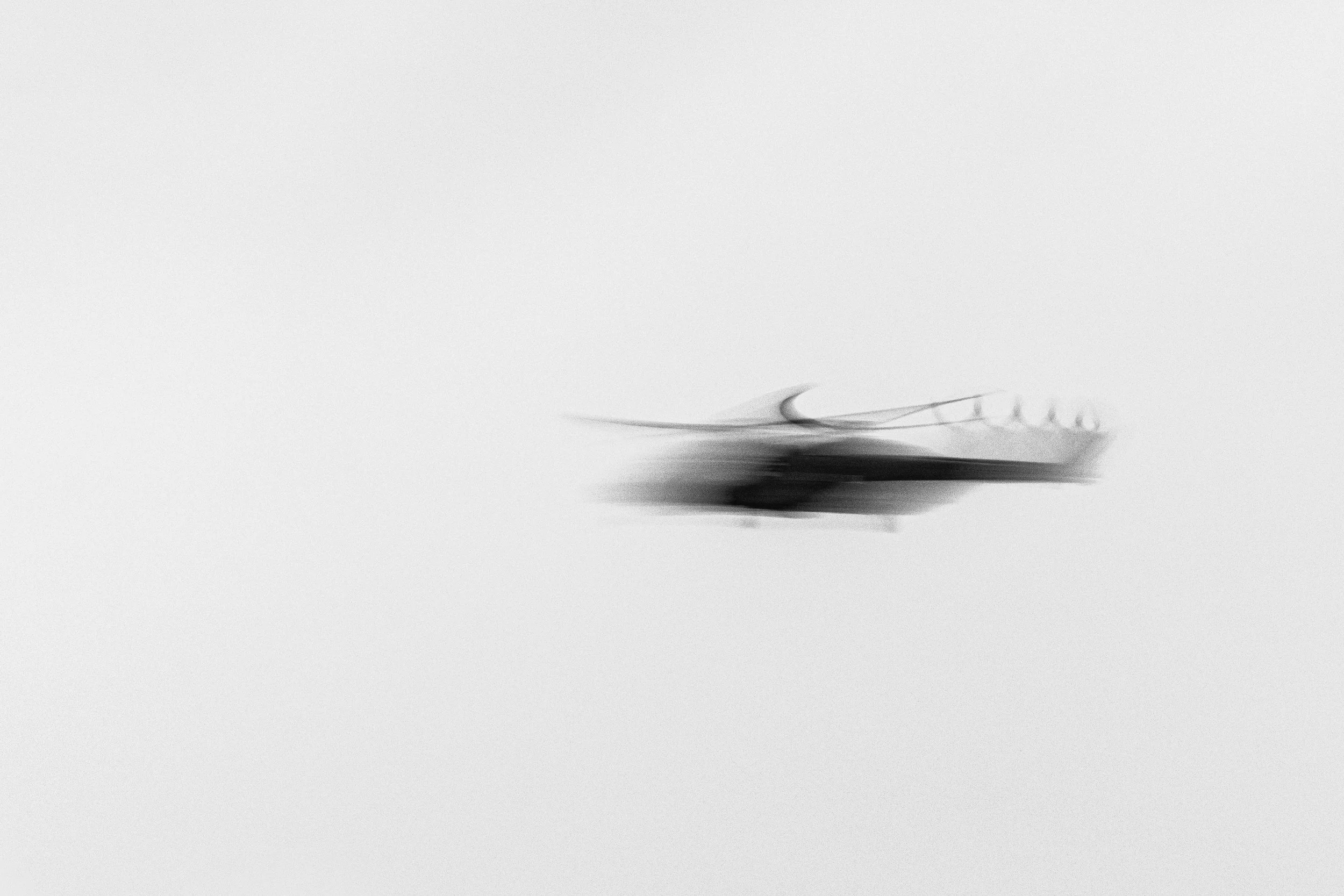 30052026-3C3A4750.jpg