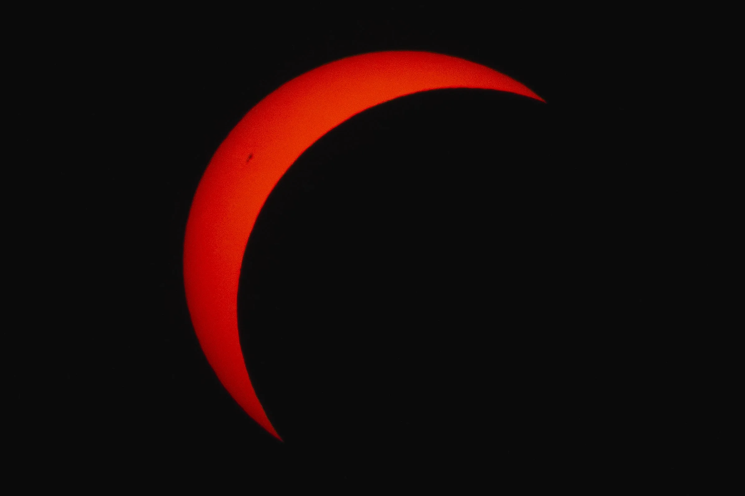 3C3A4814.jpg