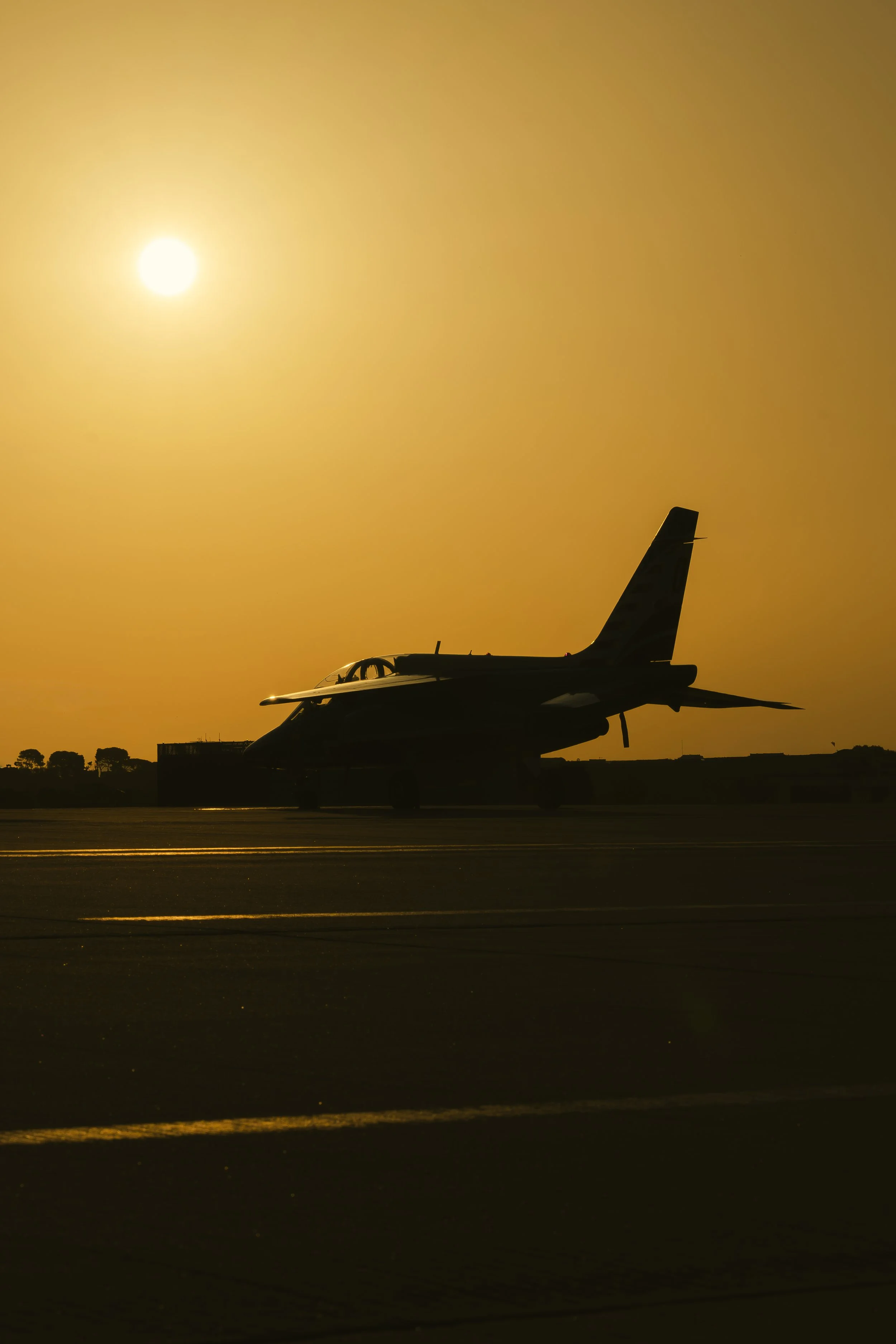 3C3A6218.jpg