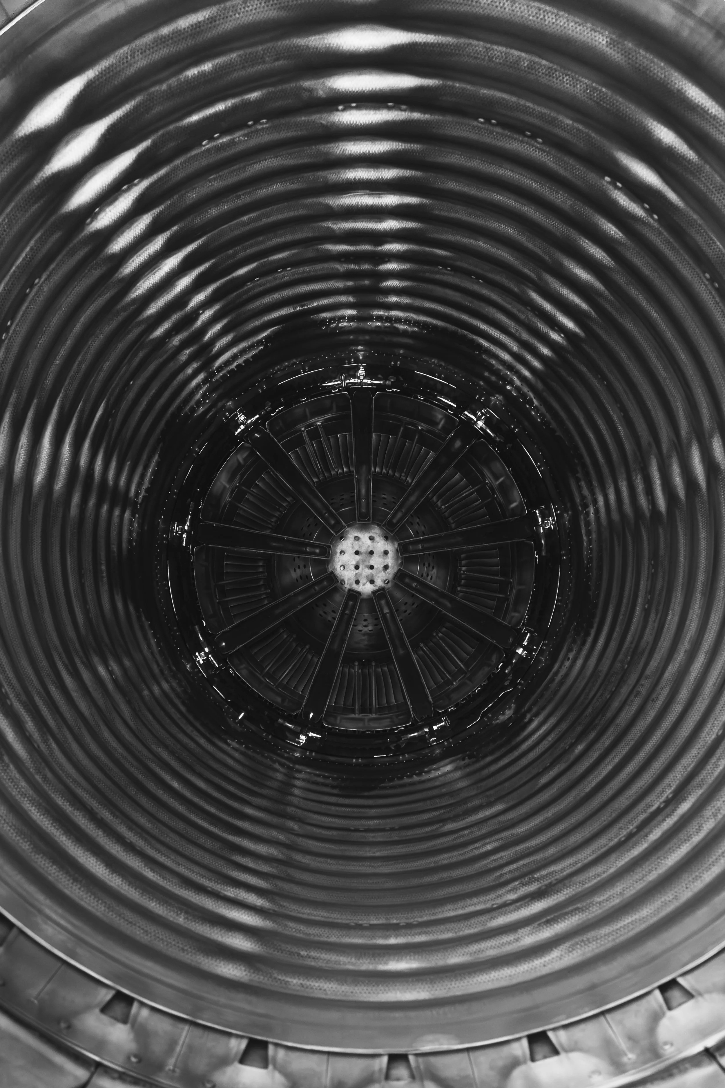 3C3A6485.jpg