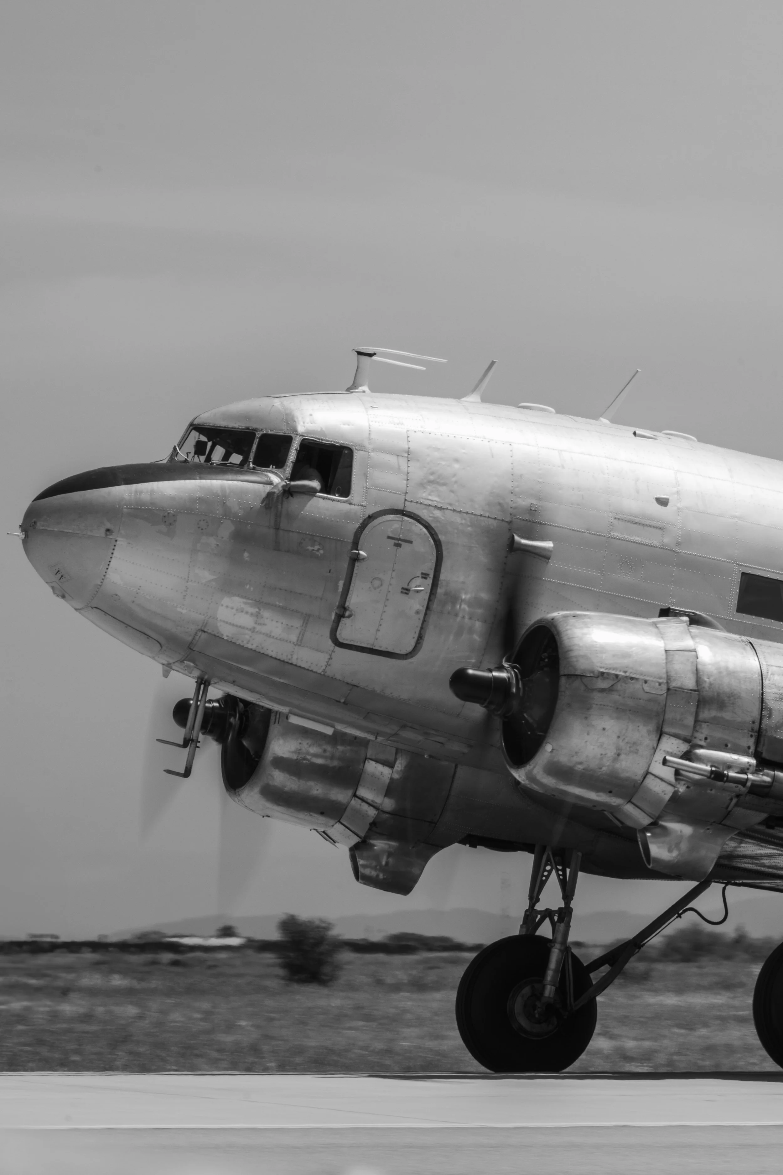 3C3A5749.jpg