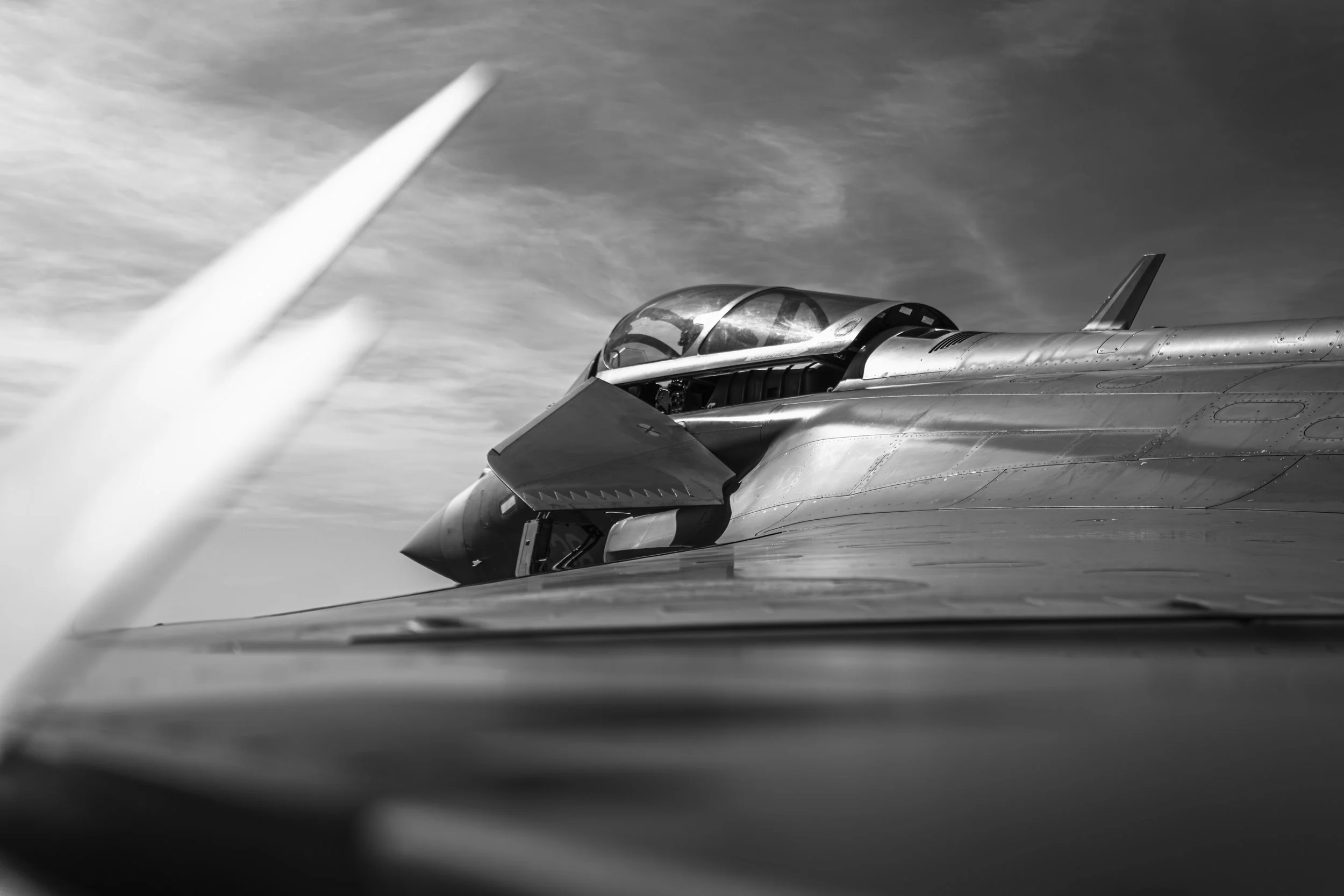 3C3A4721-Avec accentuation-Bruit.jpg