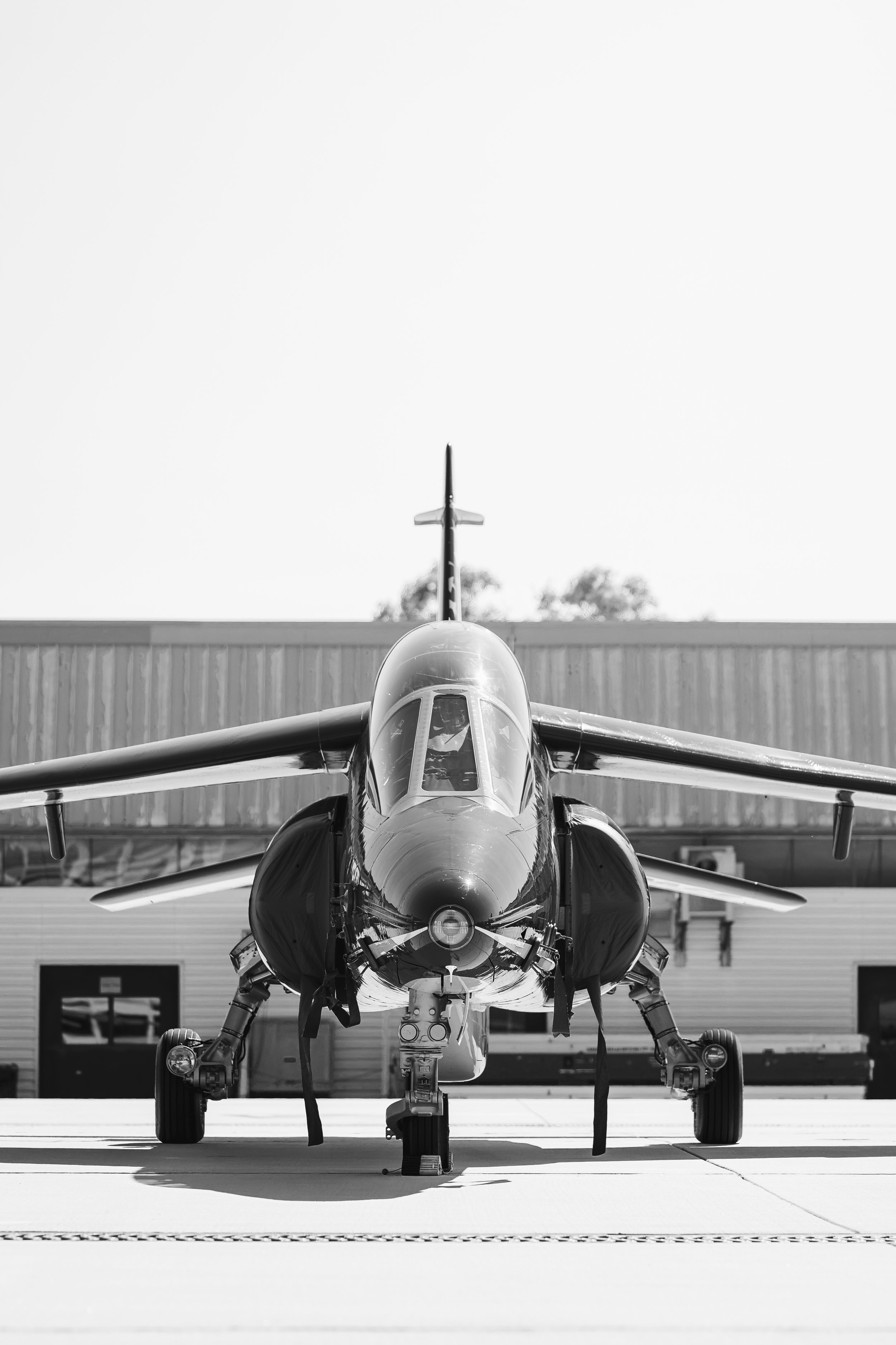 3C3A6143.jpg
