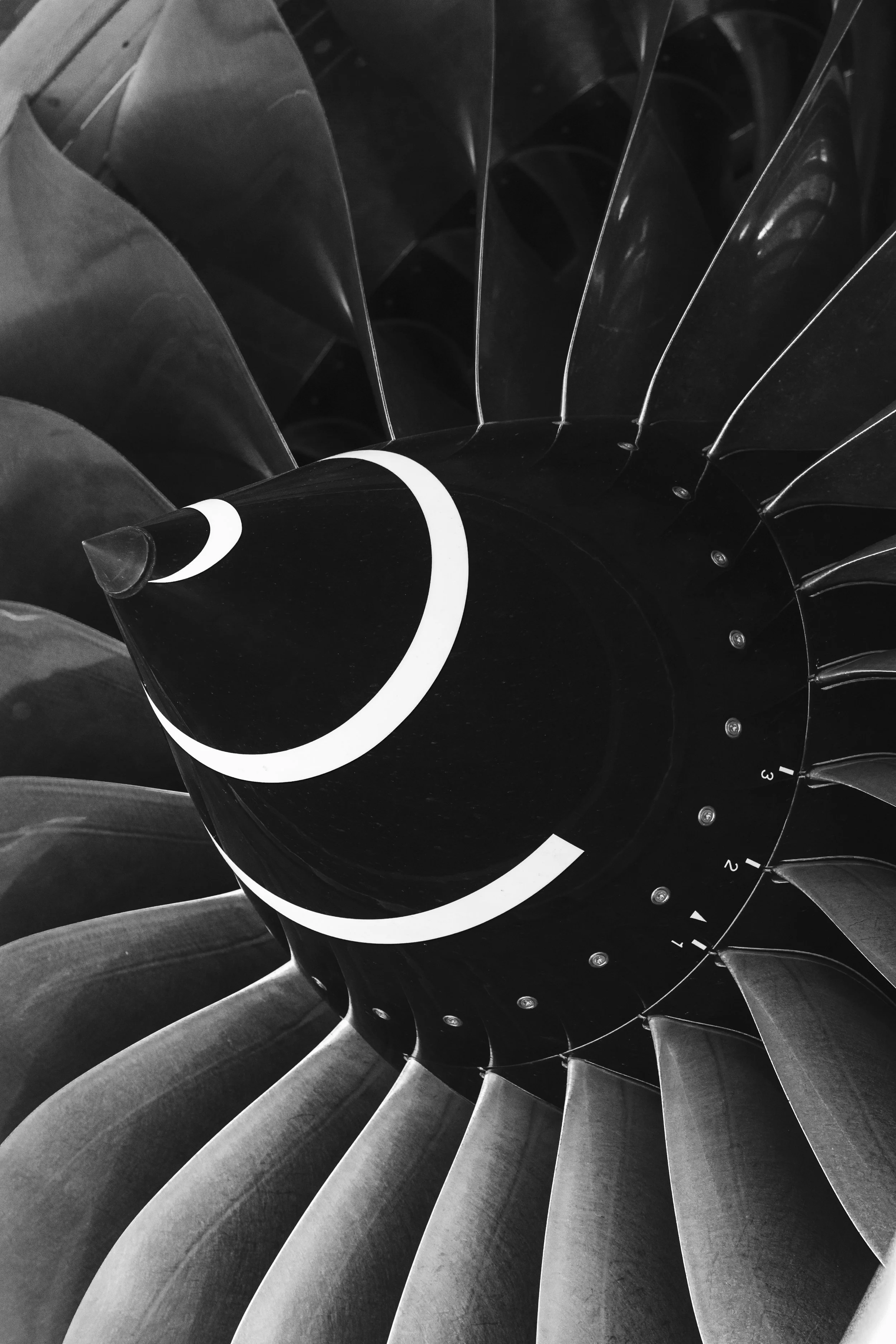 3C3A3158.jpg