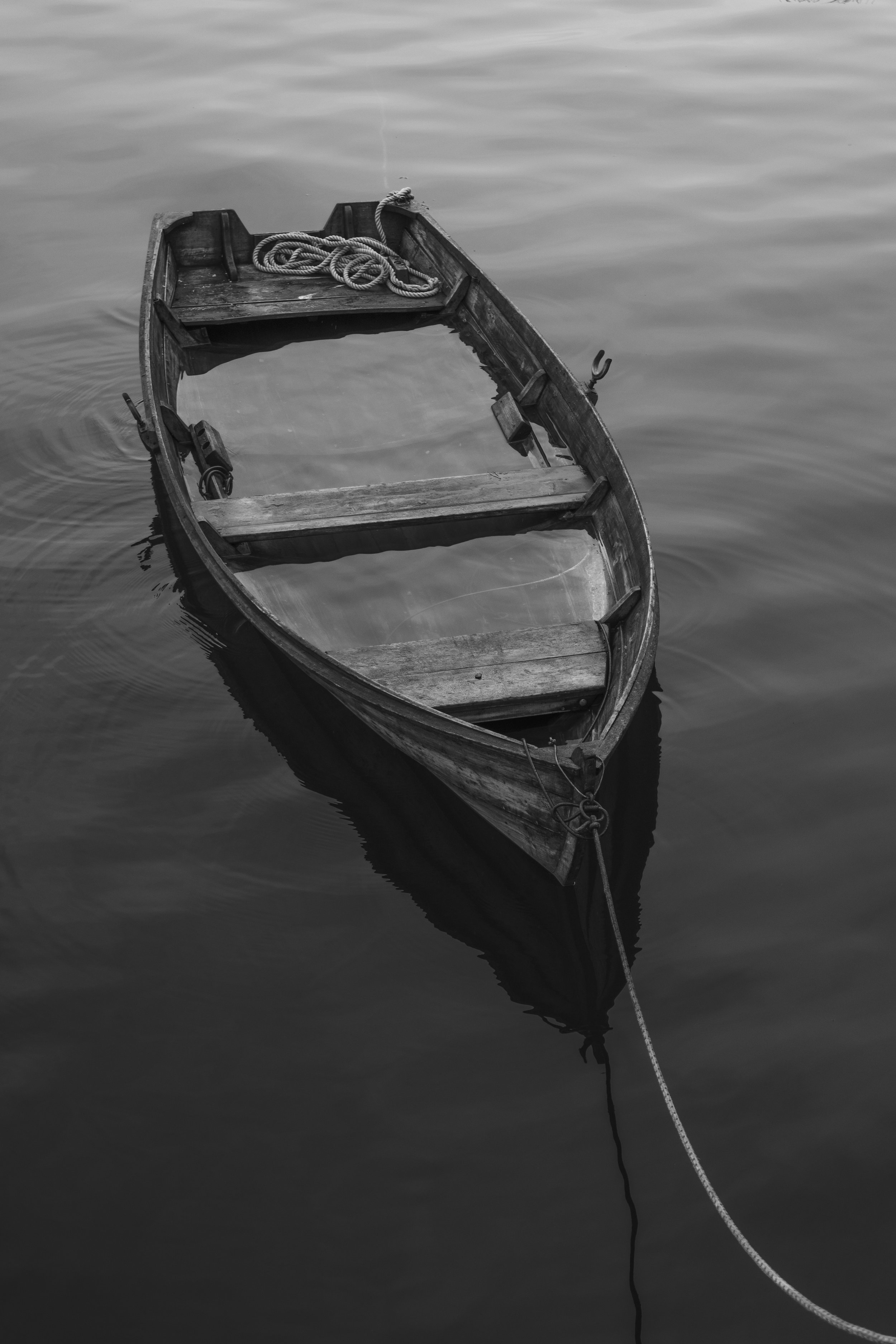 3C3A0724.jpg