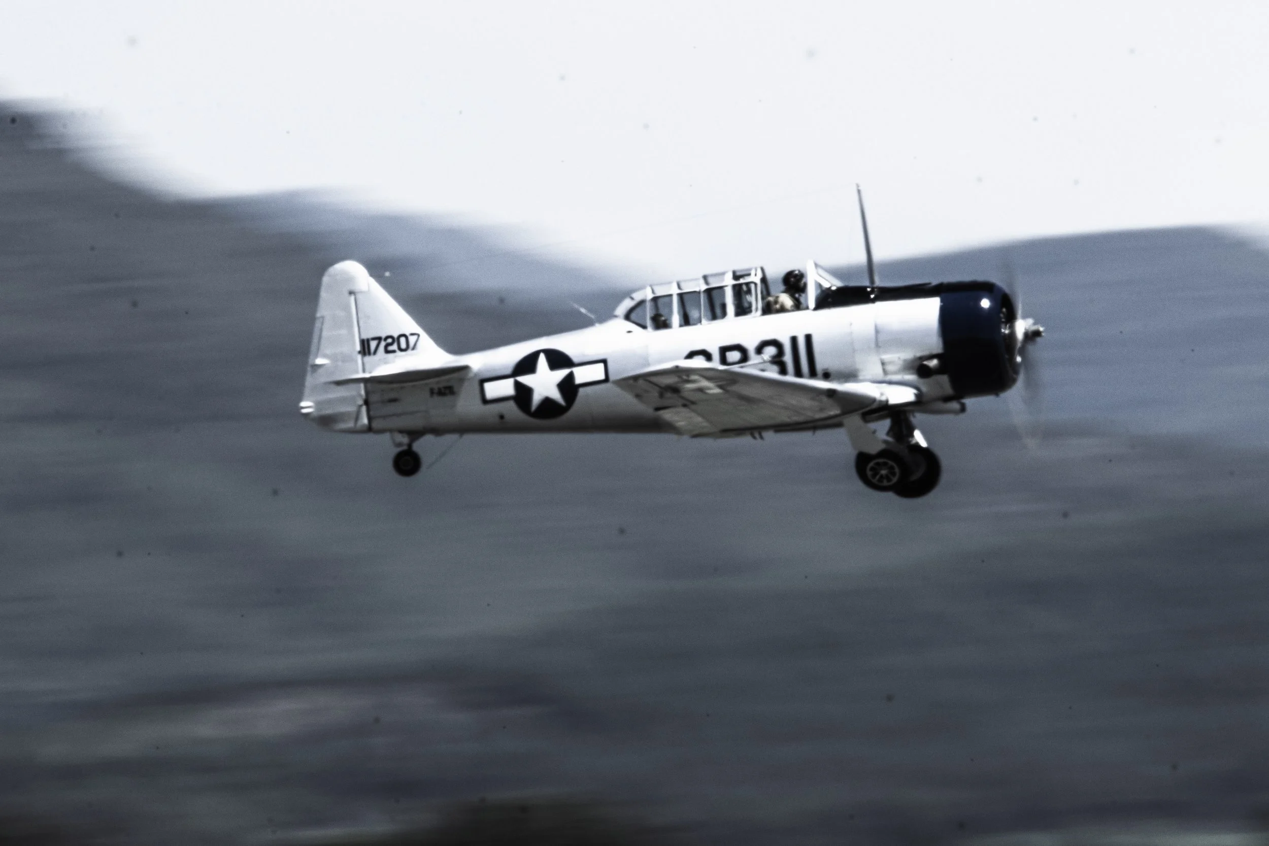 31052025-3C3A8940.jpg