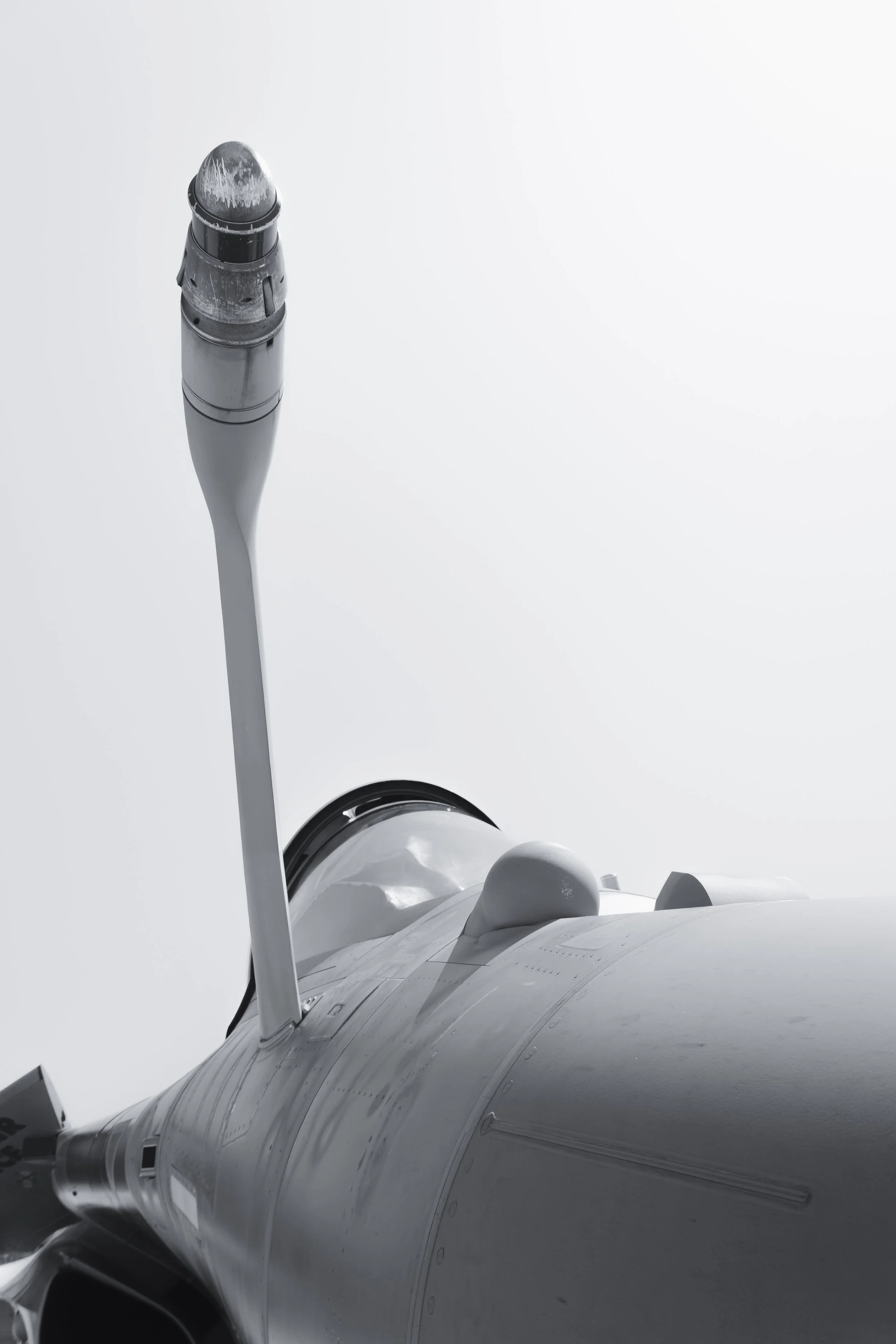 3C3A6518.jpg