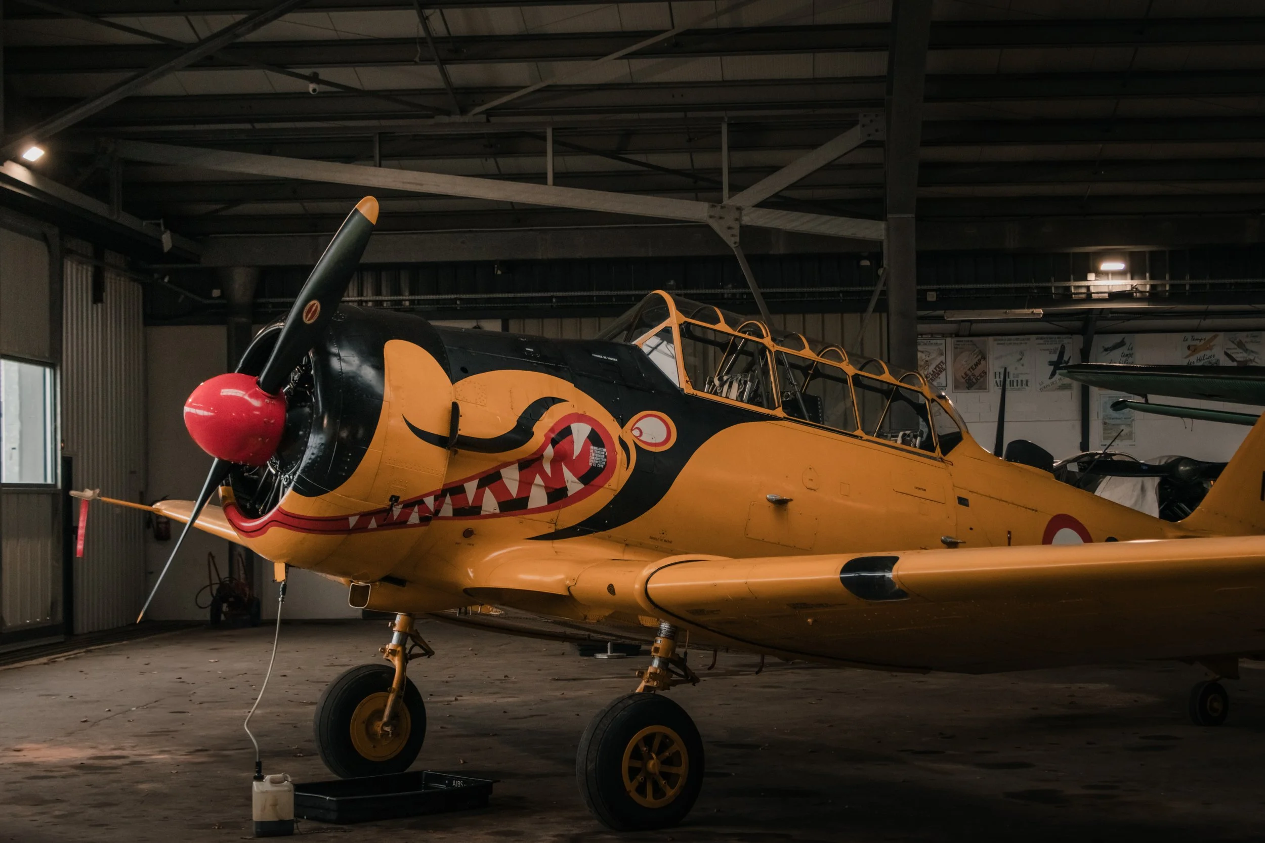 3C3A4350 (1).jpg