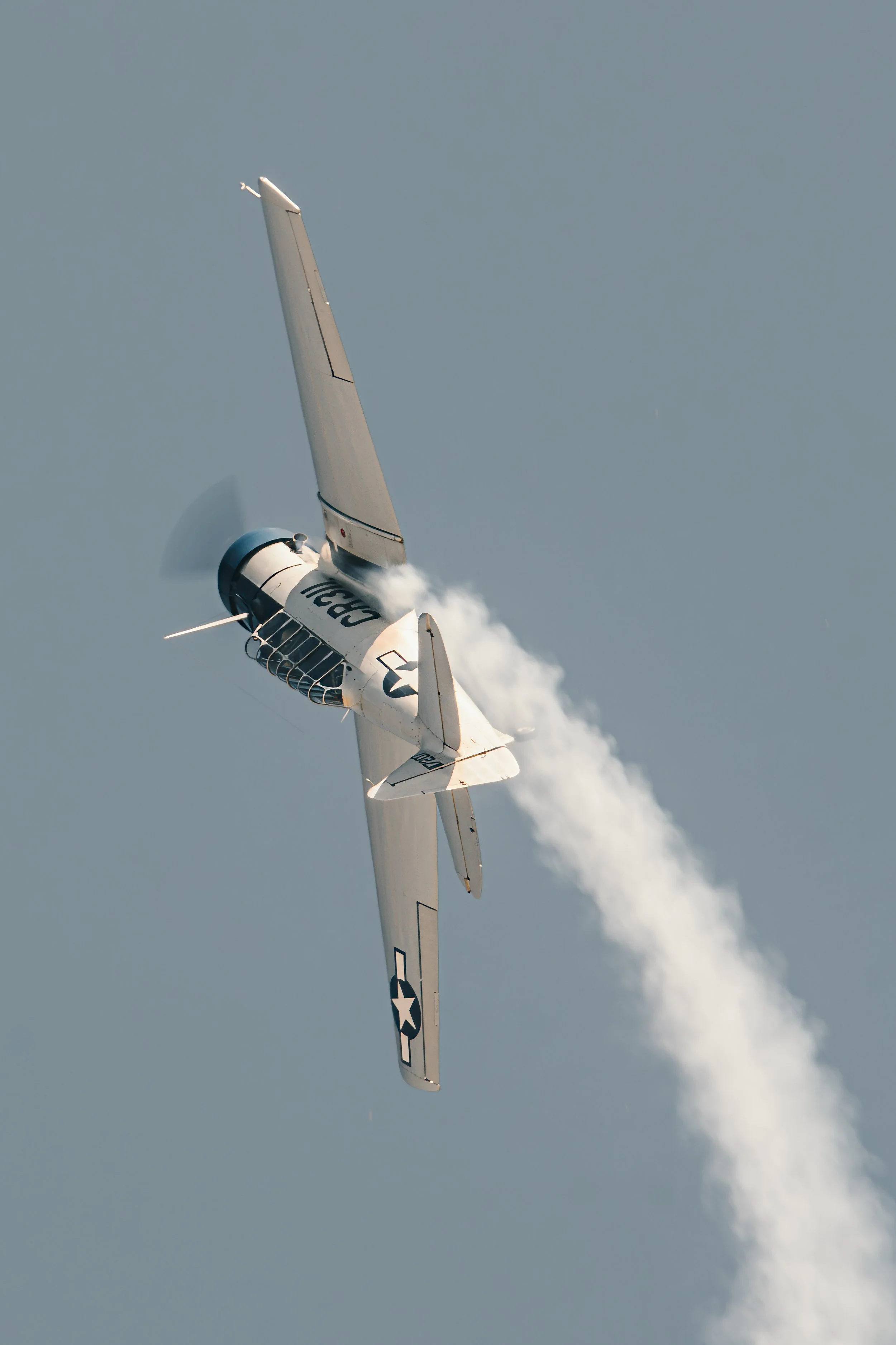 3C3A8254-Modifier.jpg