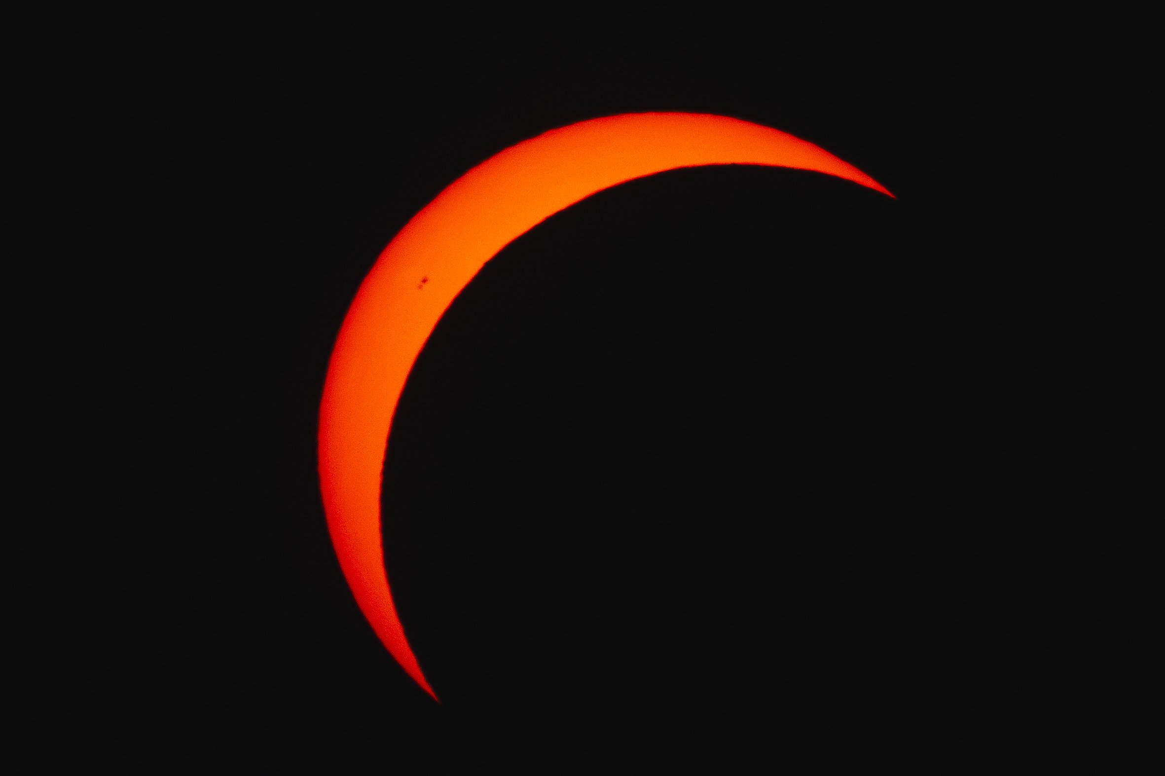 3C3A4841.jpg