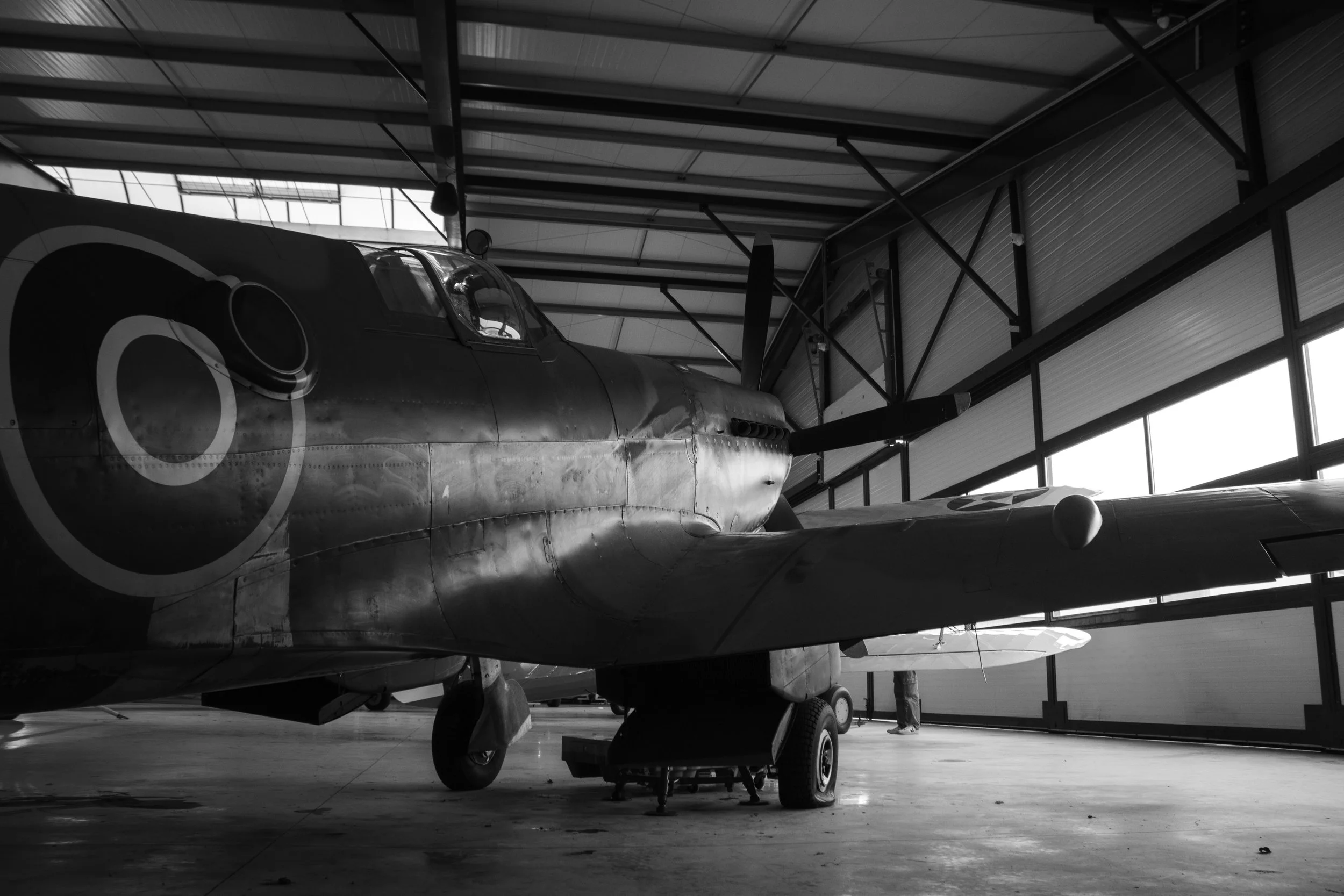 3C3A4460.jpg
